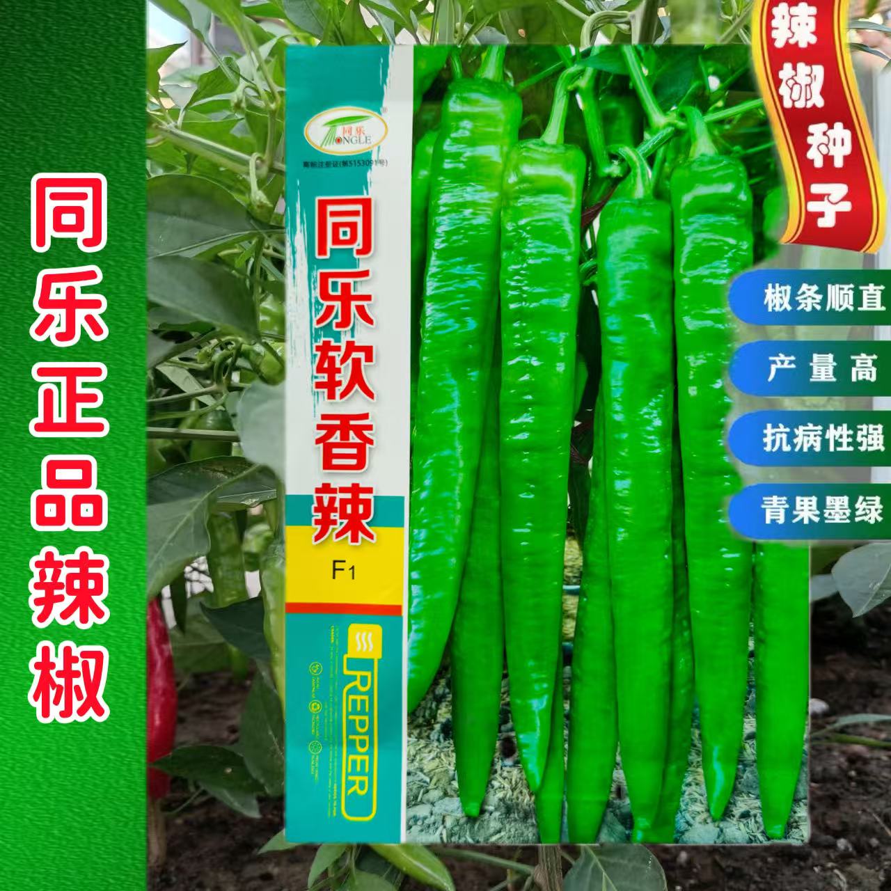 软香辣羊角椒种子辣味浓肉质松软口感好辣椒籽挂果多高产抗病辣椒