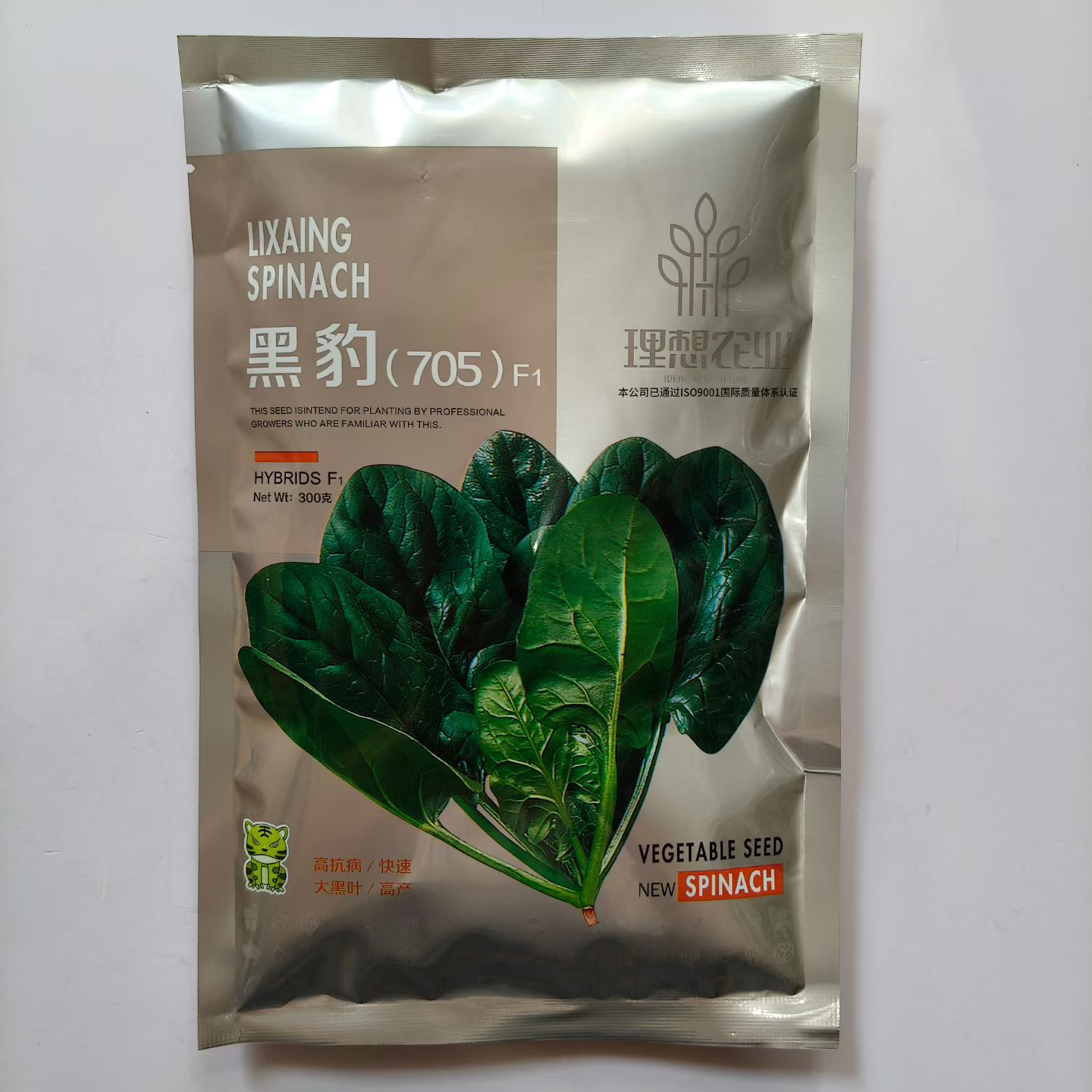 黑豹(705)F1大黑叶菠菜种子高抗病高产耐热耐寒春秋播黑菠菜种籽