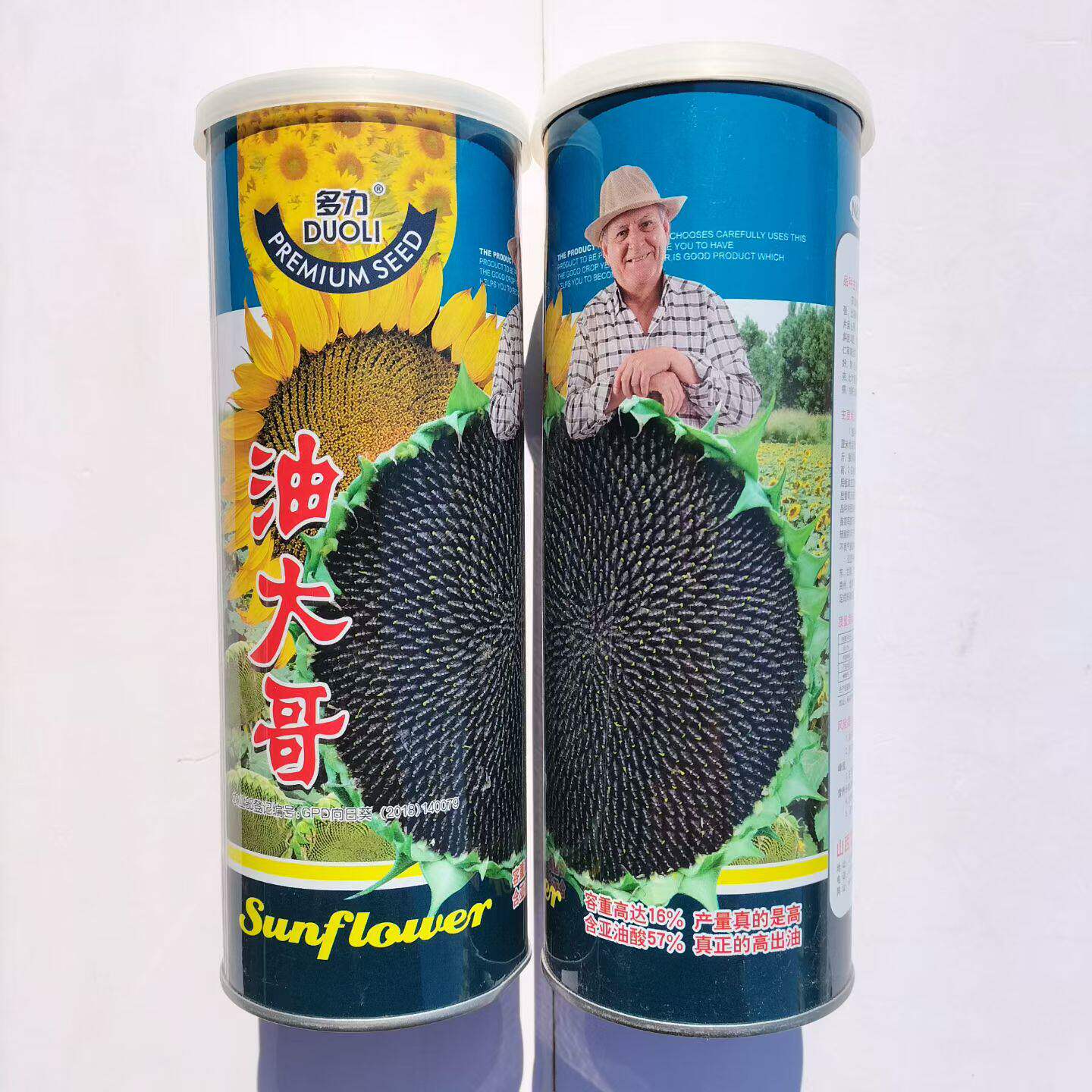 多力油大哥向日葵种子早熟矮大头油葵种籽油太郎油葵籽大全
