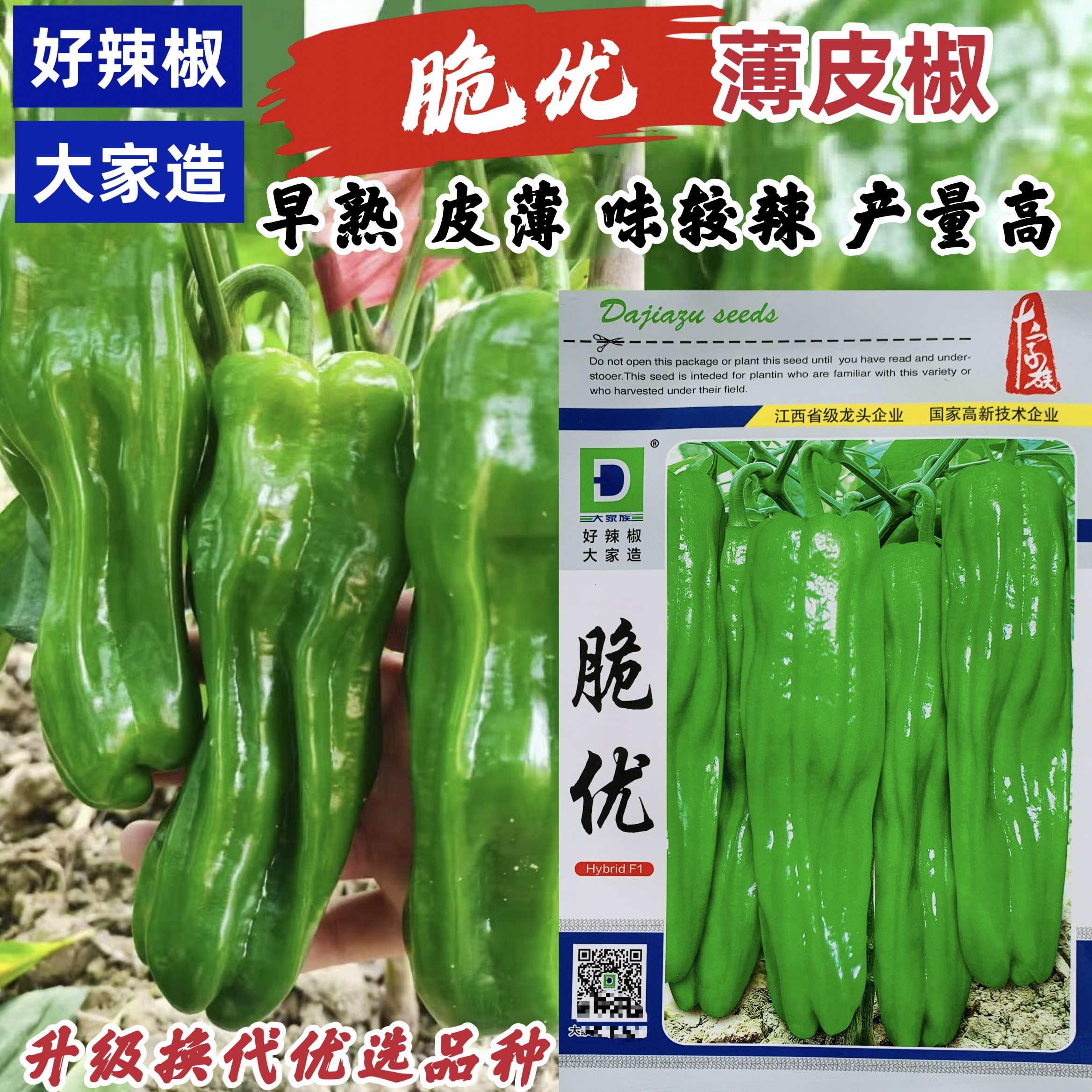 脆优辣椒种子升级薄皮椒种子早熟大果皮薄肉脆大青椒种籽