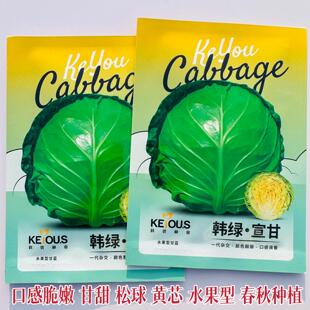 韩绿宣甘水果型甘蓝种子农家春秋播甘蓝种籽结球包心菜籽蔬菜种孑