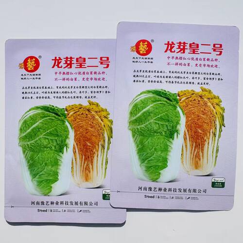 种子龙芽皇二号白菜种子秋季橘红心大白菜种子营养价值高优质