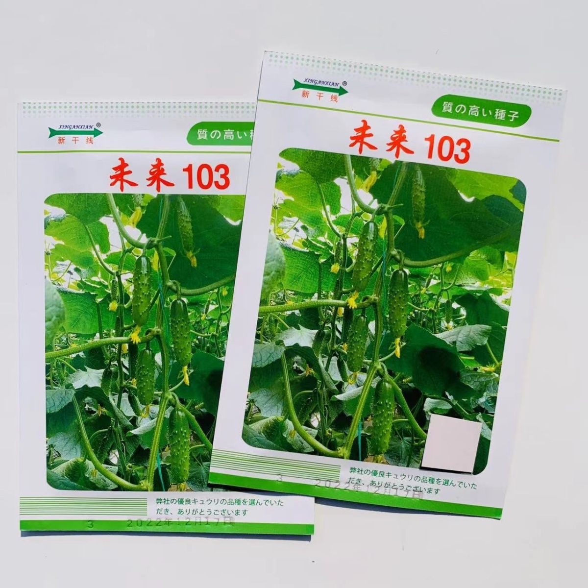 未来103旱黄瓜种籽孑 新干线水果旱黄瓜油亮大刺口感黄瓜种子