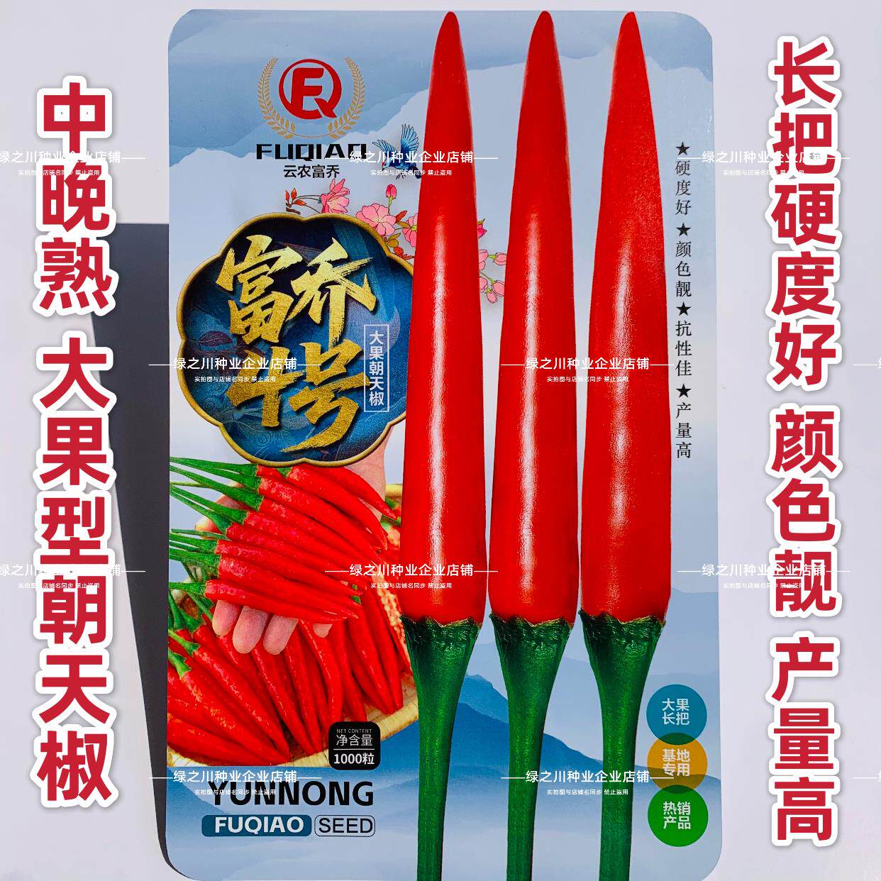 富乔4号辣椒种子大果朝天椒种子特大号泰国朝天椒种籽中晚熟高产