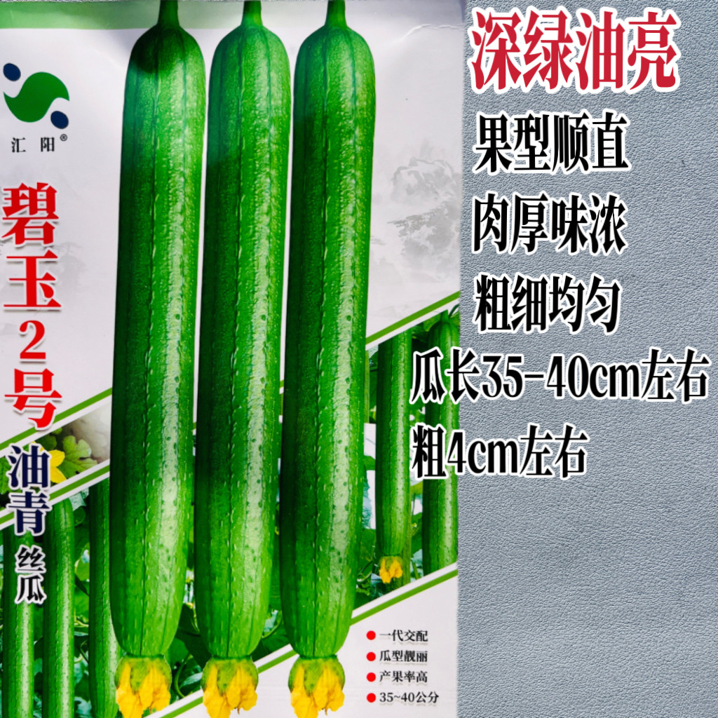 碧玉2号丝瓜种子早熟高产抗病耐热耐寒丝瓜种籽春秋播蔬菜种子籽