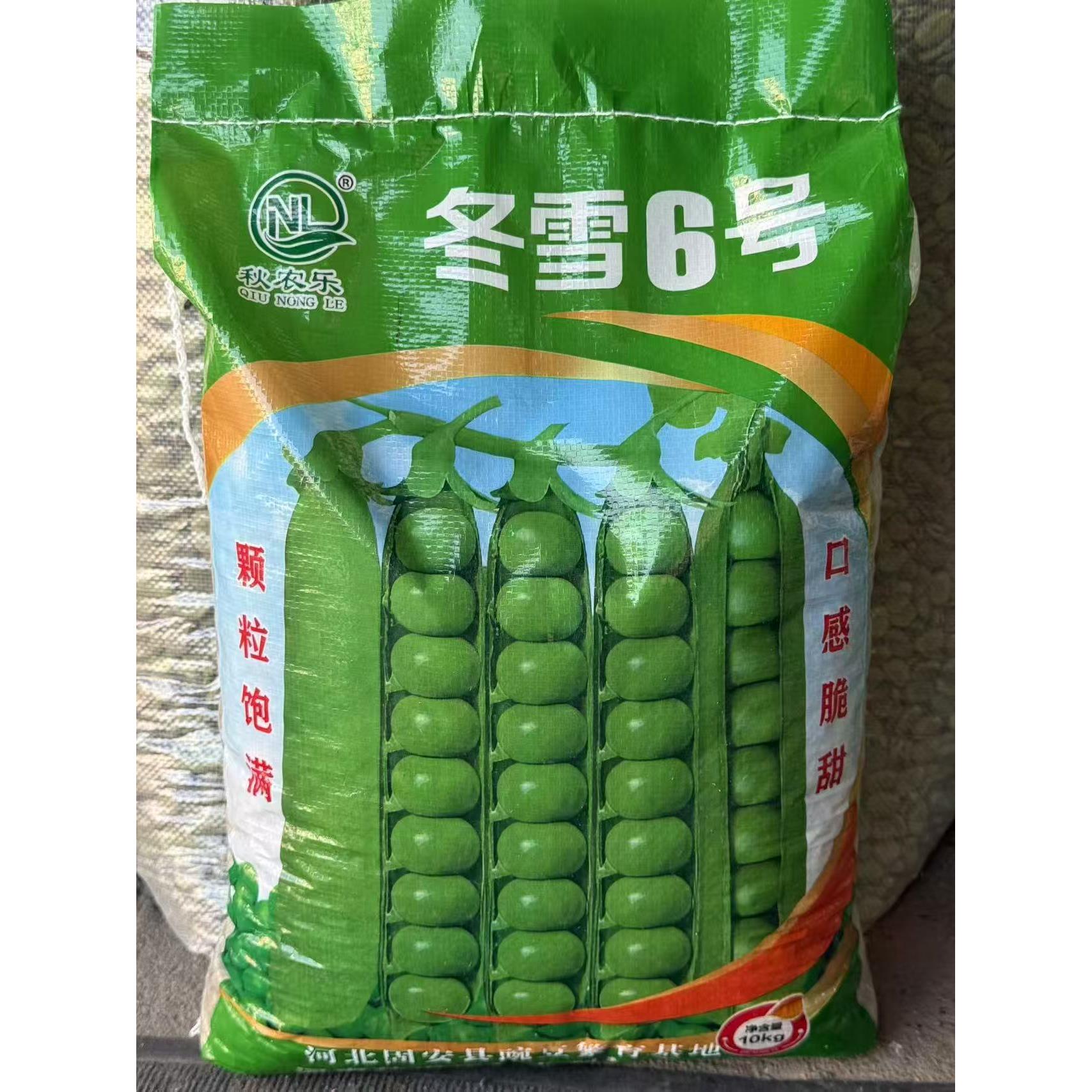 冬雪6号豌豆种子 抗寒耐旱大荚甜脆鲜豌豆大田基地用种籽