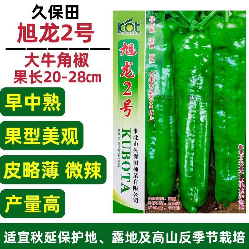 久保田旭龙2号牛角椒种子早中熟大果辣椒种子高产粗长牛角椒种子