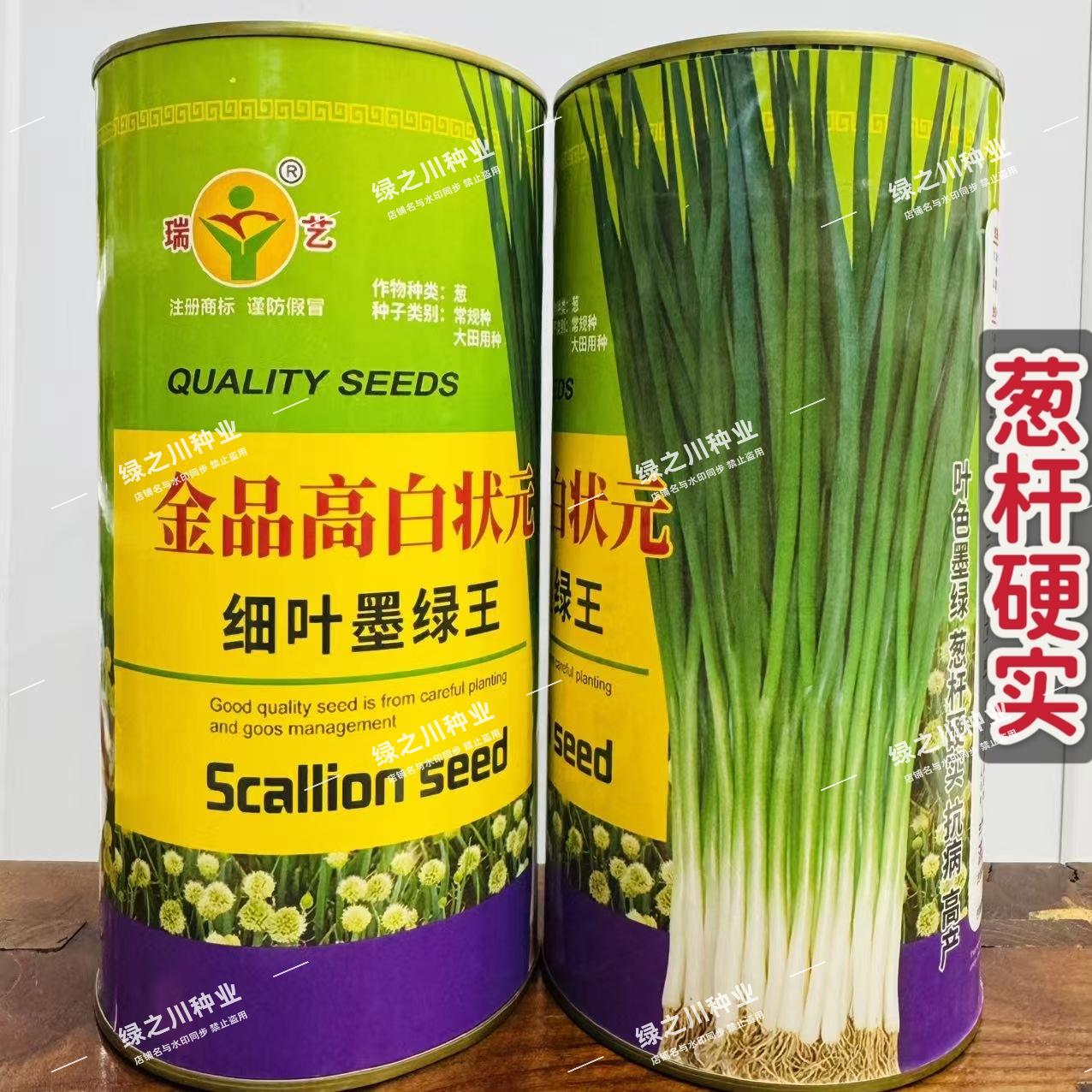 金品高白状元小香葱种籽细叶墨绿王细叶葱种子葱杆硬实大葱种子