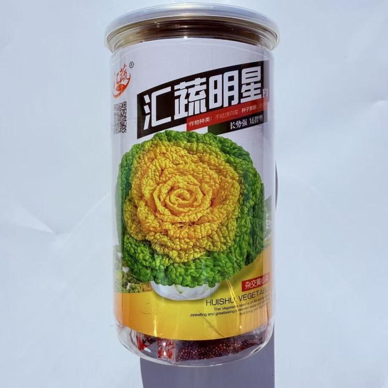汇蔬明星黄心乌种子矮棵型黄心白菜种籽乌塔菜高产抗病耐寒蔬菜种