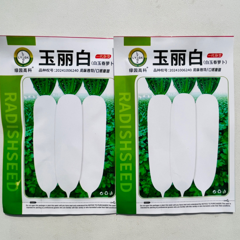 韩国玉丽白萝卜种子春秋四季播种蔬菜籽种庭院大田种植长白萝卜孑