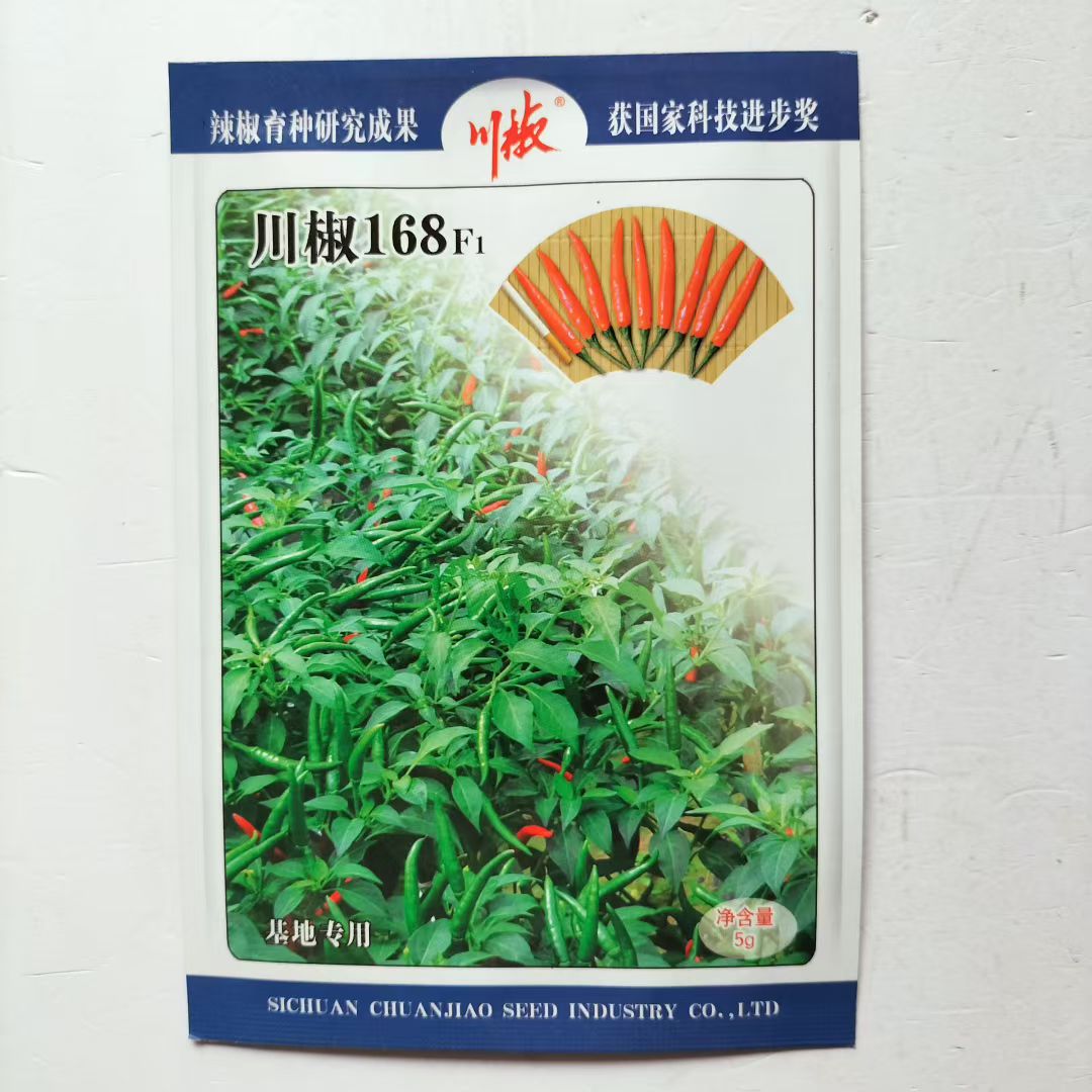 川椒168朝天椒种子中熟单生味极辣耐热辣椒种籽春秋播蔬菜籽抗病