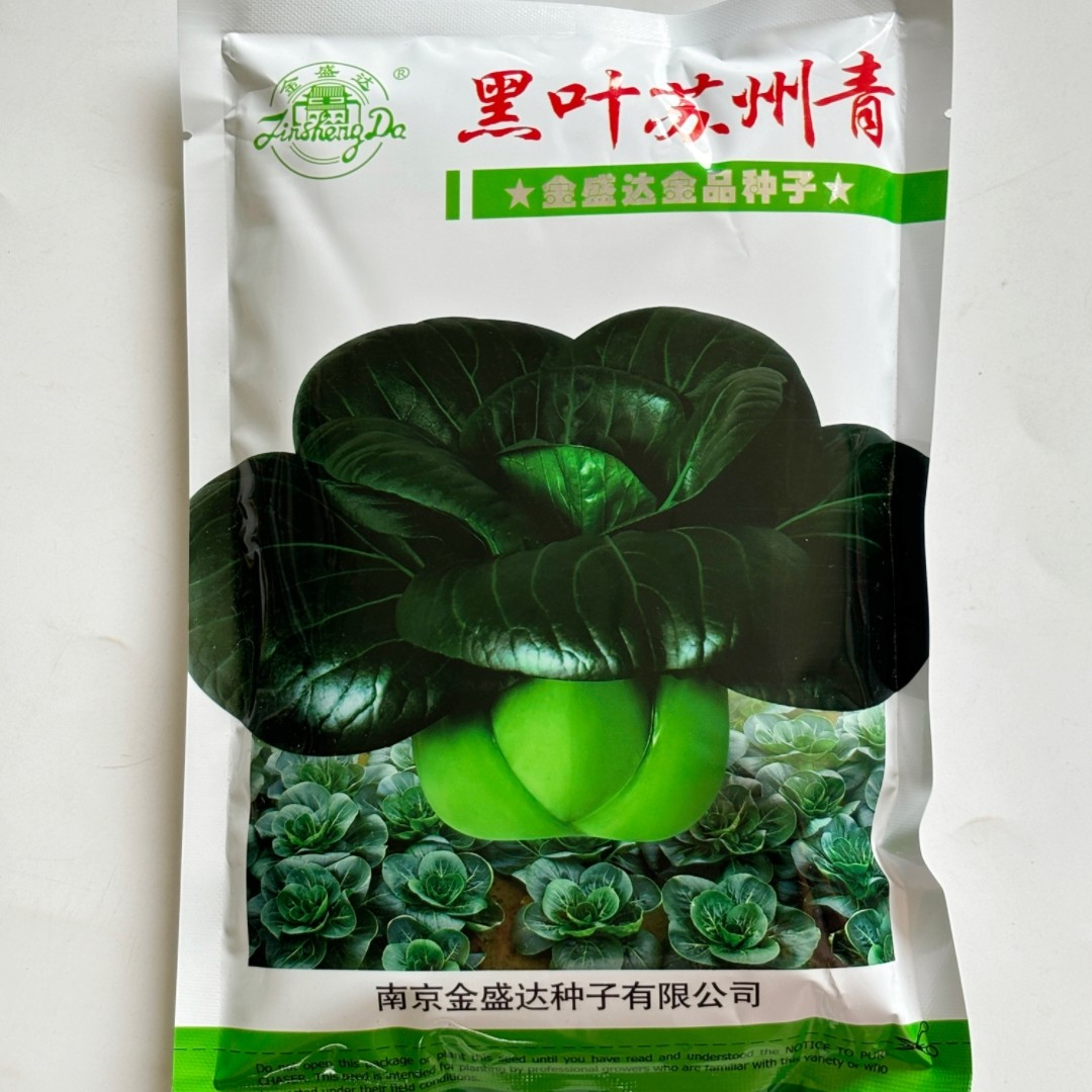 黑叶苏州青种子农家菜园秋播矮脚油亮青菜种籽耐寒蔬菜种孑菜种籽