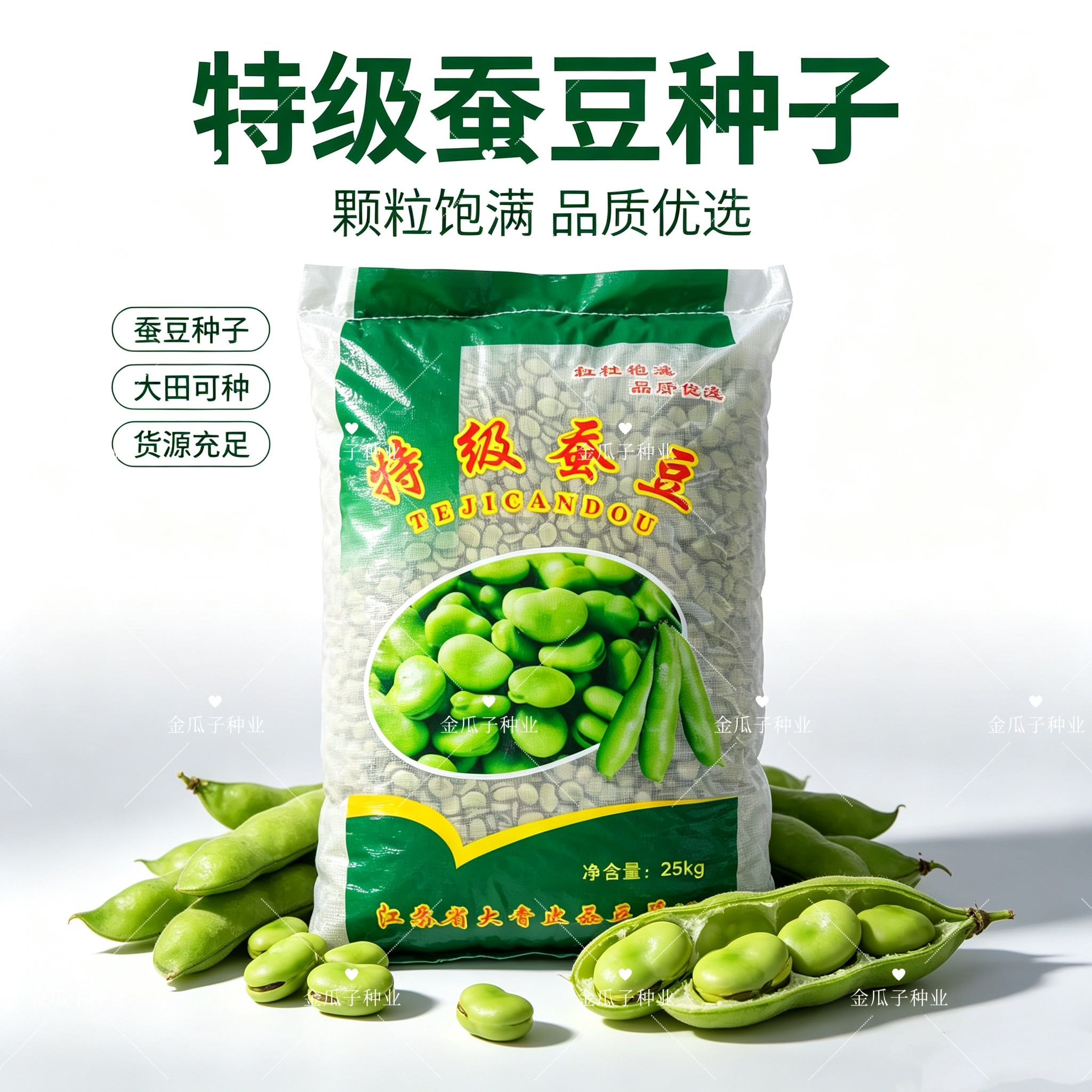 新籽特级大青皮蚕豆种籽大粒高产耐寒抗倒秋冬大籽粒青皮蚕豆种子