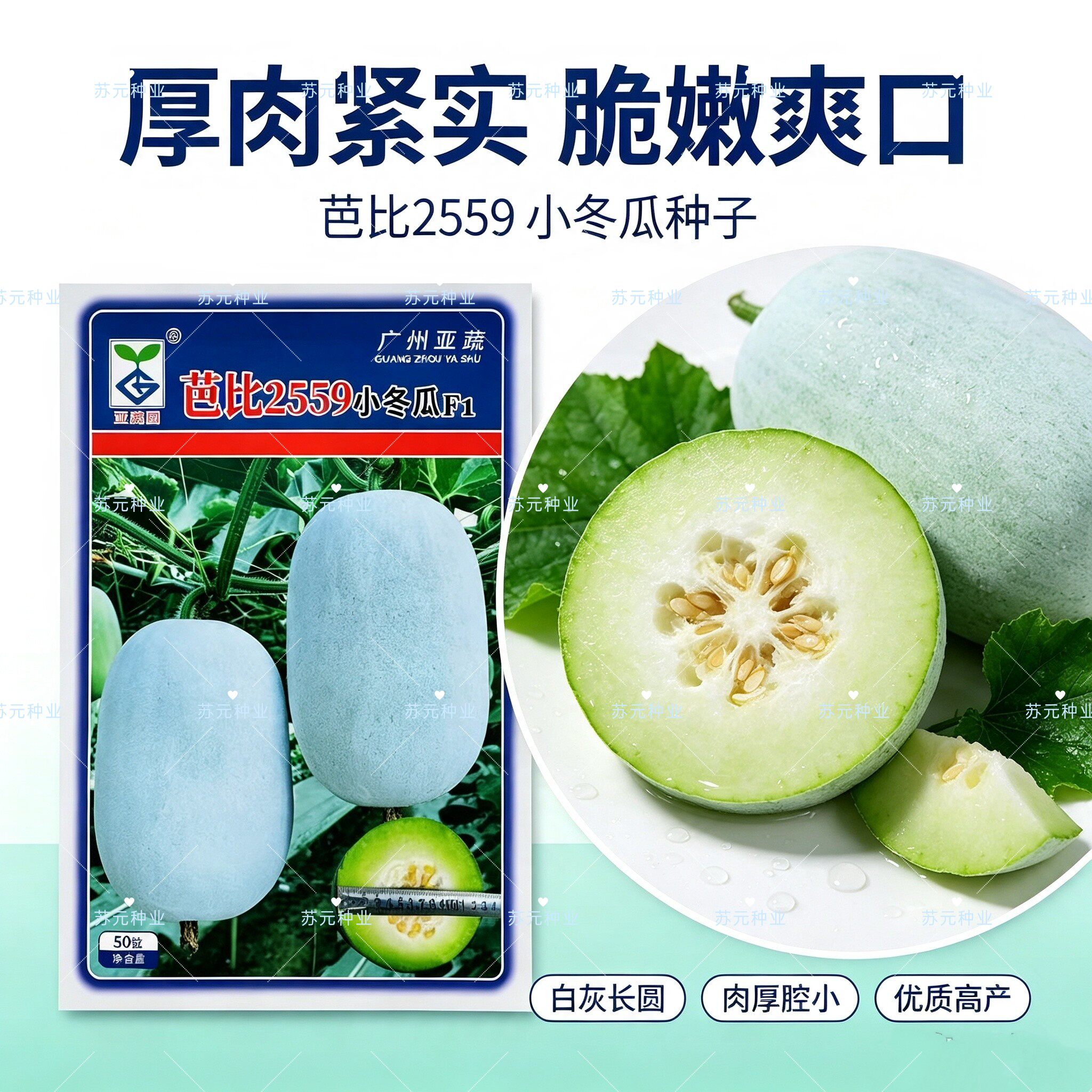 芭比2559小冬瓜种子早中熟圆筒形耐热白冬瓜种籽抗病耐储运高产