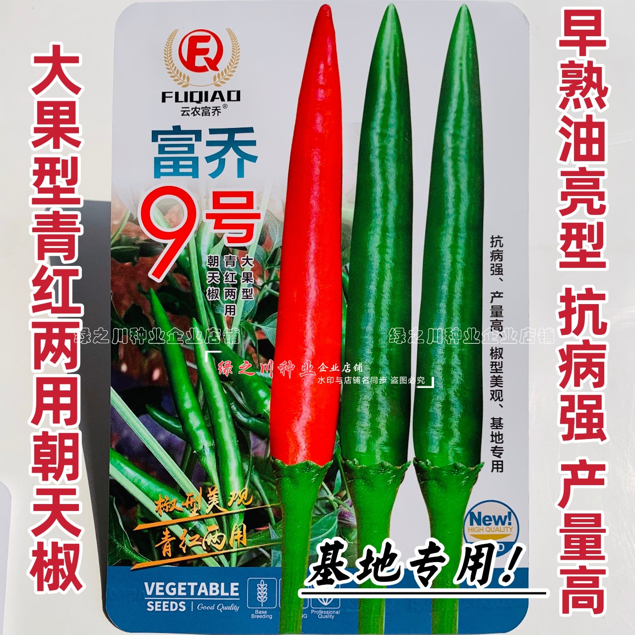 两广海南热销富乔9号朝天椒种籽大号早熟大果型朝天椒种孑油亮型