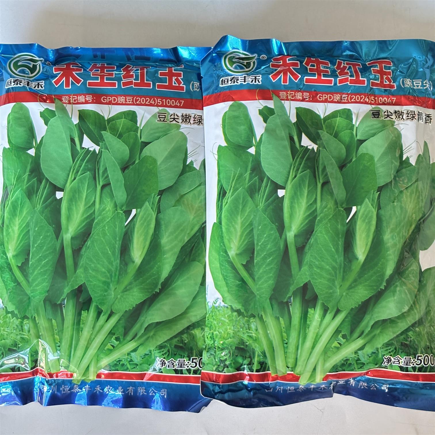 禾生红玉豌豆尖种子豆尖嫩绿清香无须豌豆苗种子四季盆栽蔬菜种籽