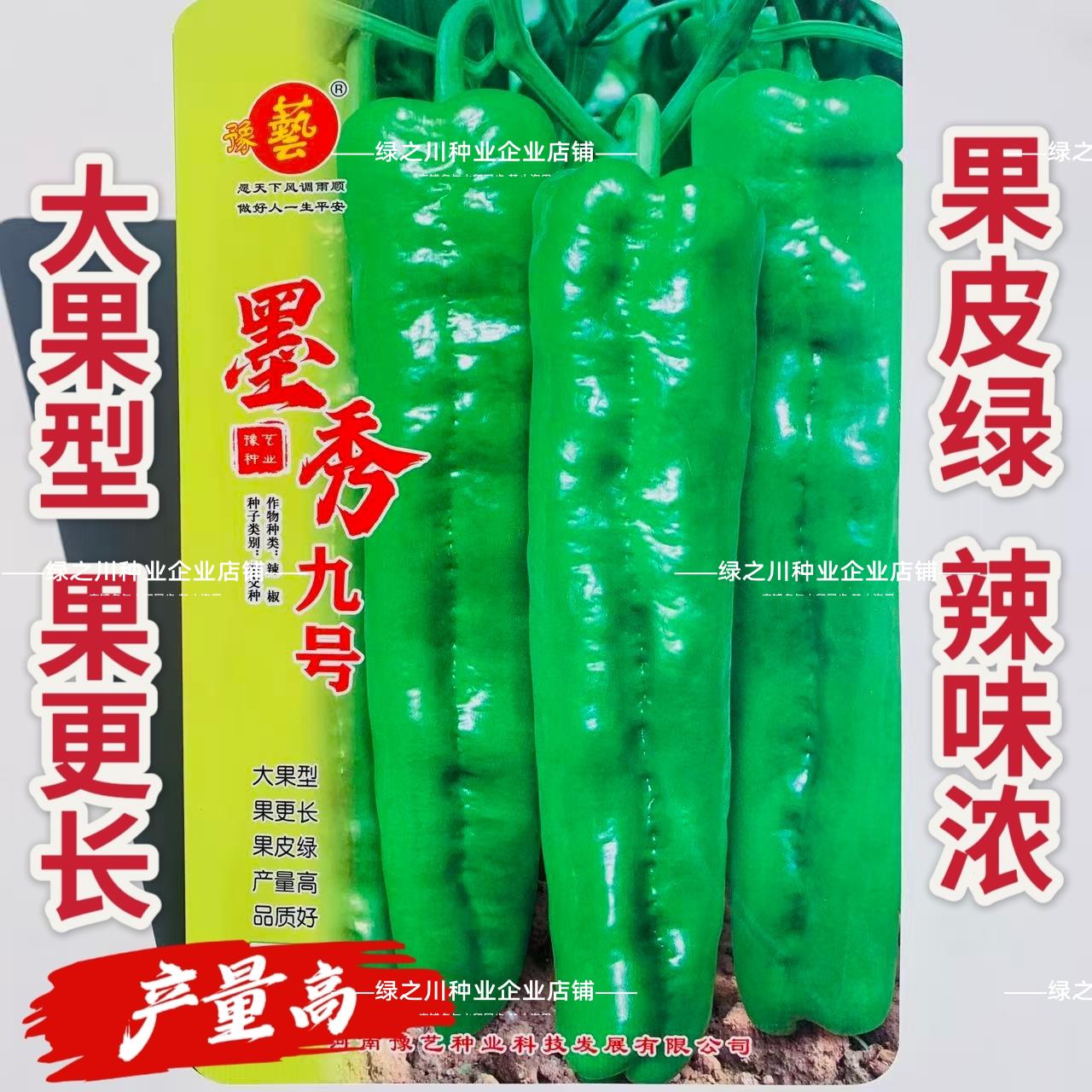 墨秀九号牛角椒种子大果绿皮长果型牛角辣椒种籽肉脆辣味浓大田播
