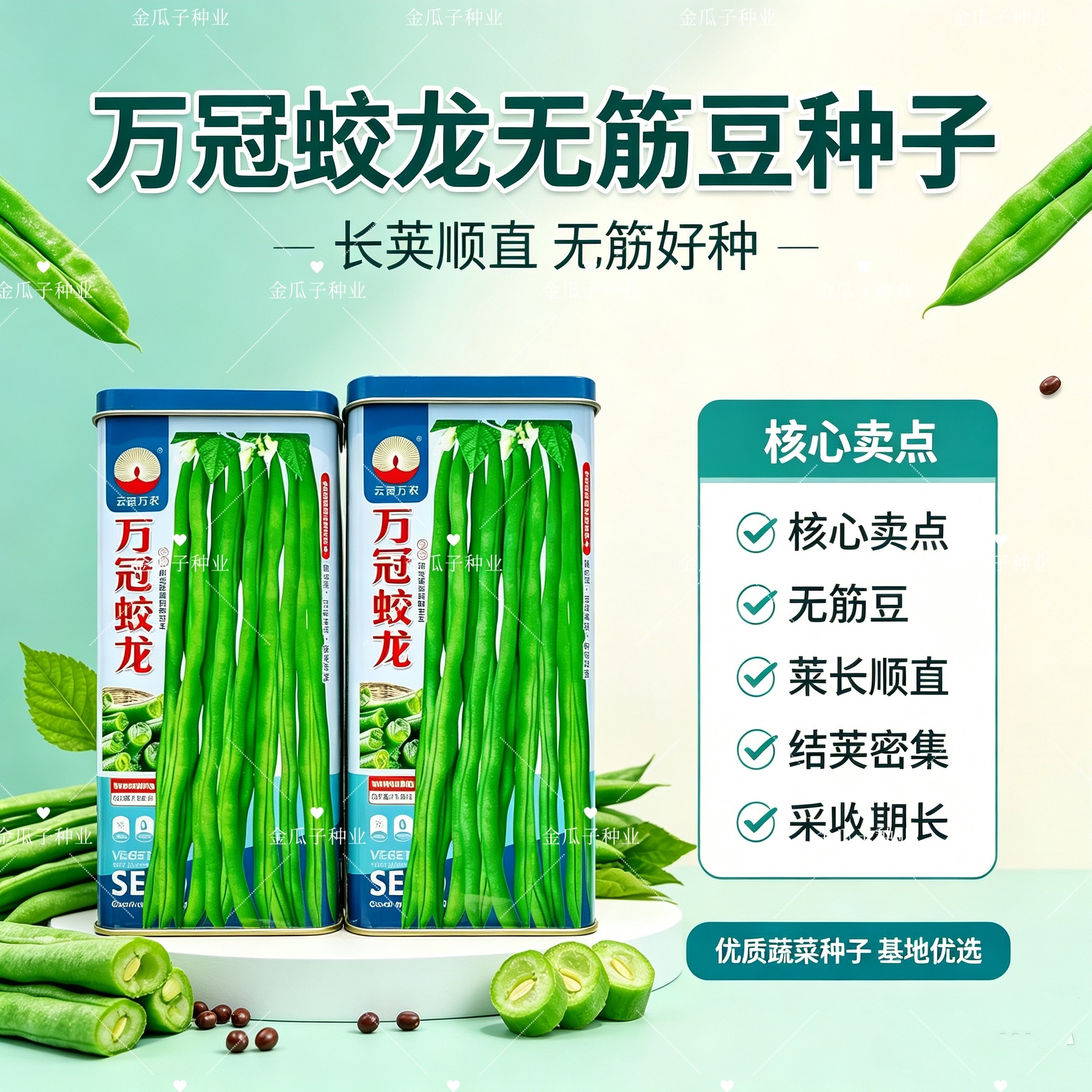 万冠蛟龙加长型泰国架豆王种子中熟蔓生浅绿荚鲜嫩无纤维春秋种植