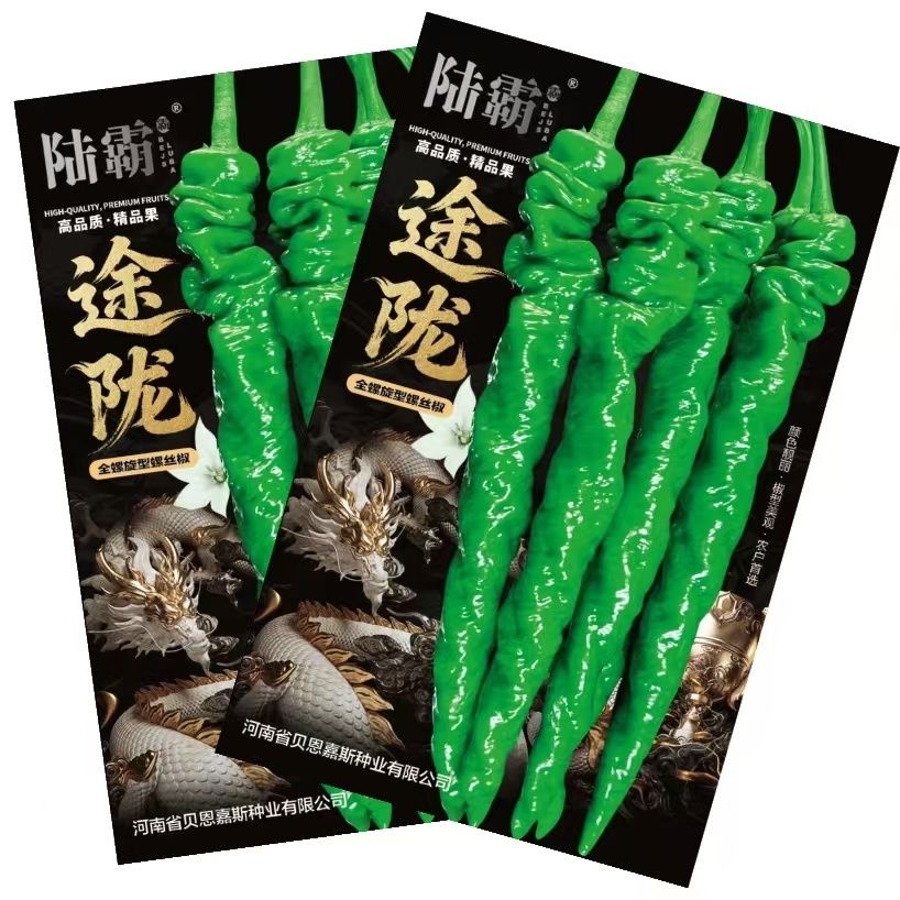 陆霸途陇全螺旋螺丝椒种子中早熟长果香辣高产抗病露天辣椒种籽子