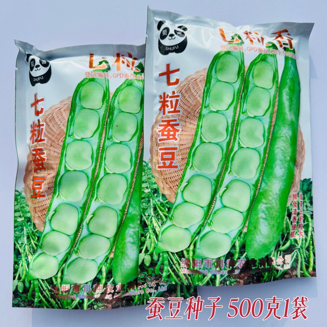七粒香蚕豆种子农家秋播耐寒农家田园中熟硬荚胡豆罗汉豆蔬菜种籽