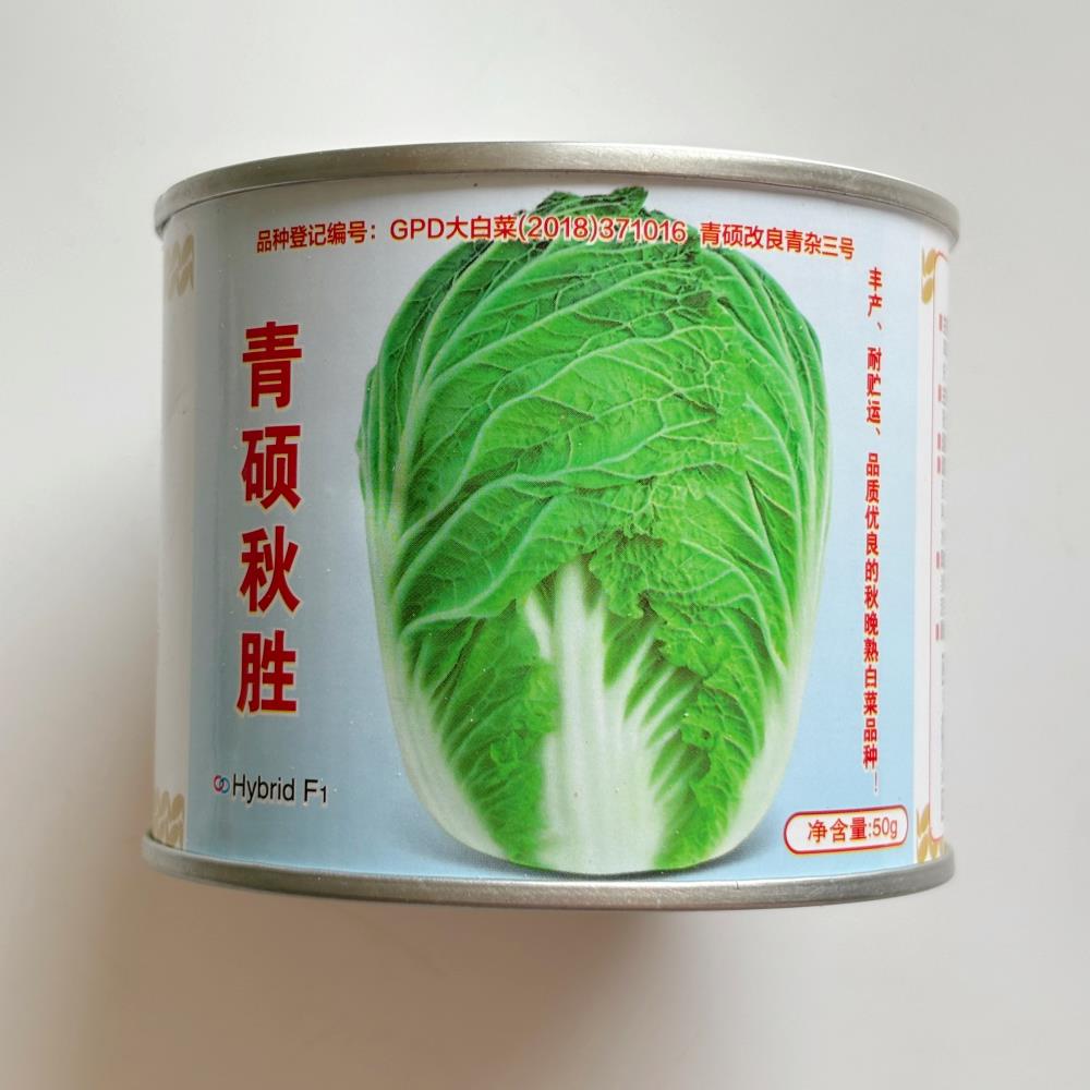 青硕秋胜秋宝大白菜种子秋播冬储大白菜青菜种籽高产大田蔬菜种子
