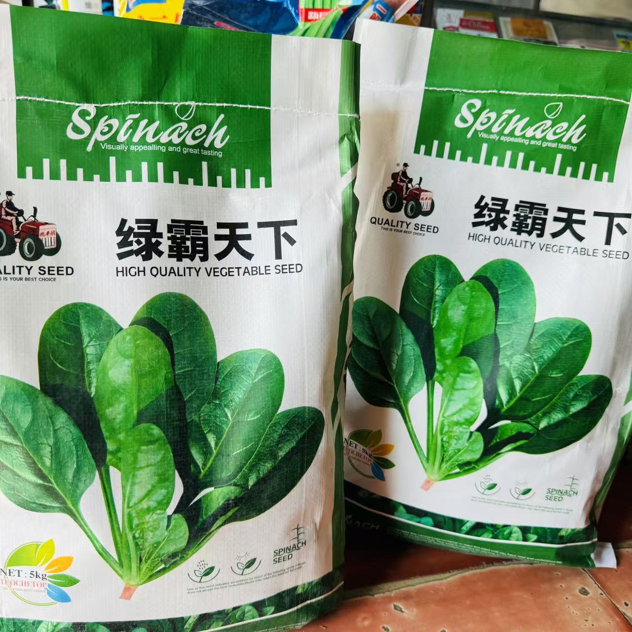 绿霸天下菠菜种子高产抗病耐热耐寒叶色黑绿有光泽菠菜种籽春秋播