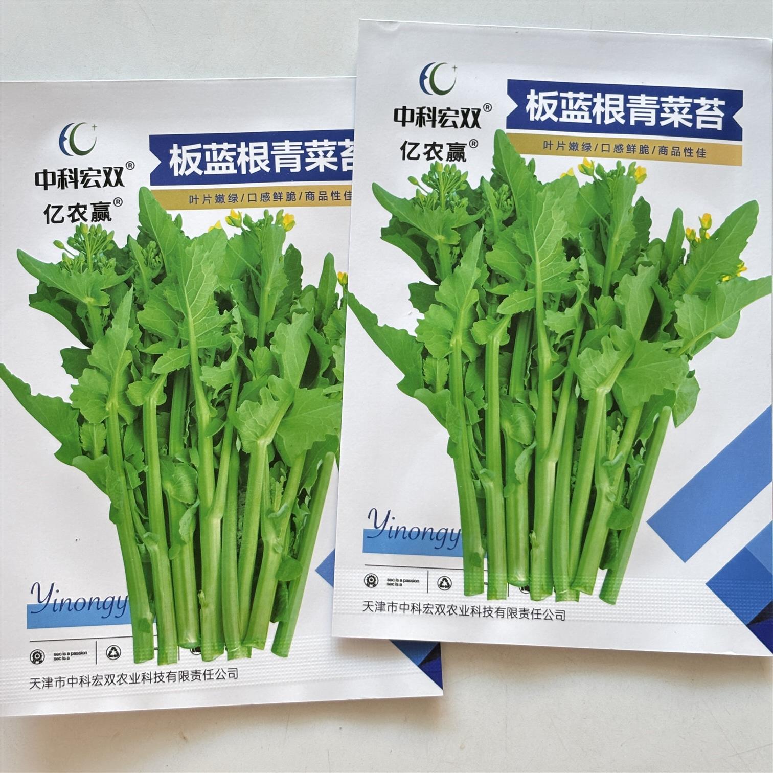板蓝根青菜苔种子 多次采收油菜苔种子 耐热耐寒 软糯青菜心种子