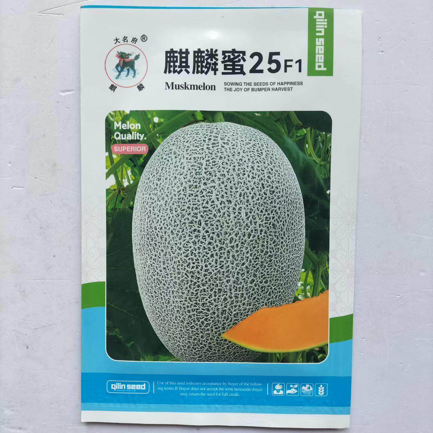 麒麟蜜25杂交甜瓜种子中熟杂交一代墨绿麻皮椭圆形网纹哈密瓜种子