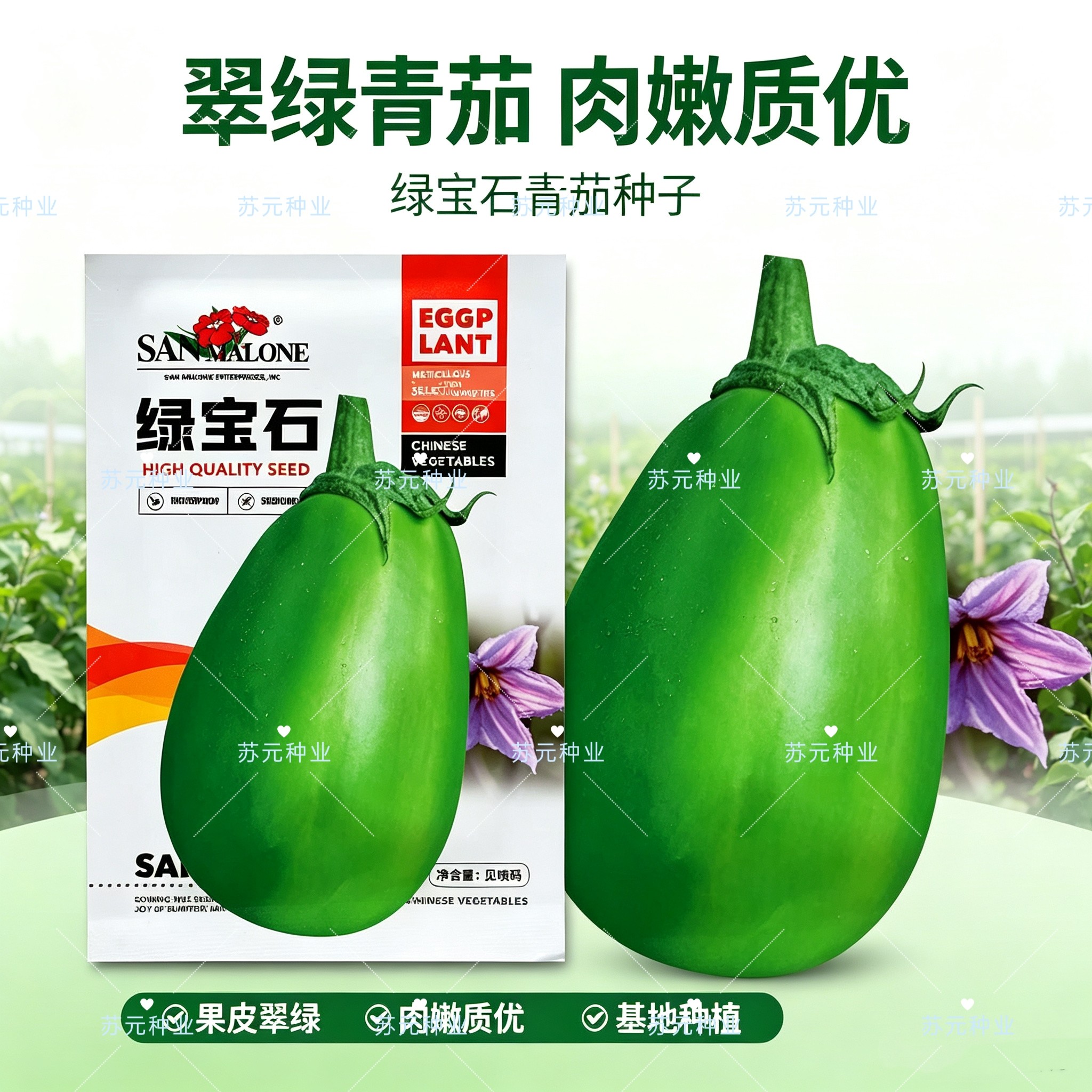 绿宝石青茄茄子种子长茄线茄农家大田阳台易种四季种植蔬菜种籽