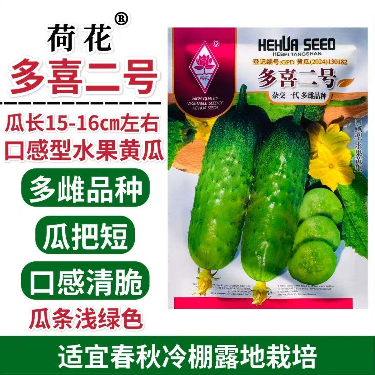 多喜二号早熟杂交短棒多雌水果黄瓜种子皮浅绿瓜把短口感清香抗病