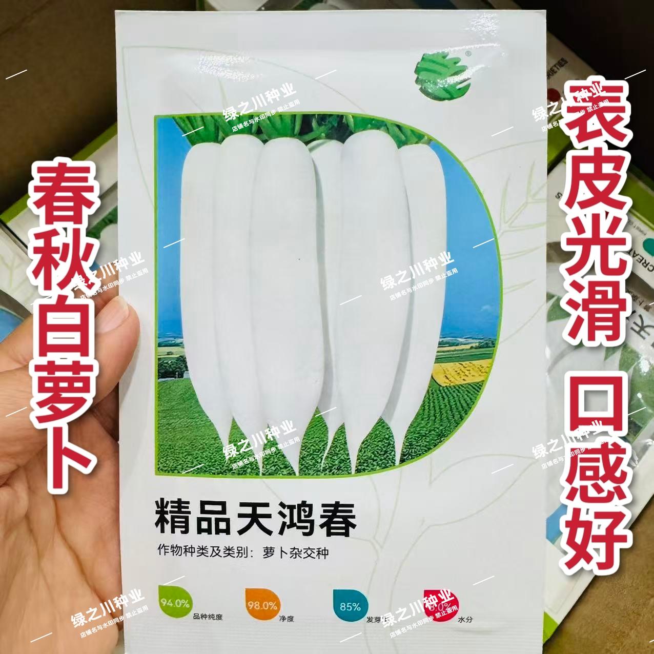 精品天鸿春萝卜种子春秋两用白萝卜种子表皮光滑口感好
