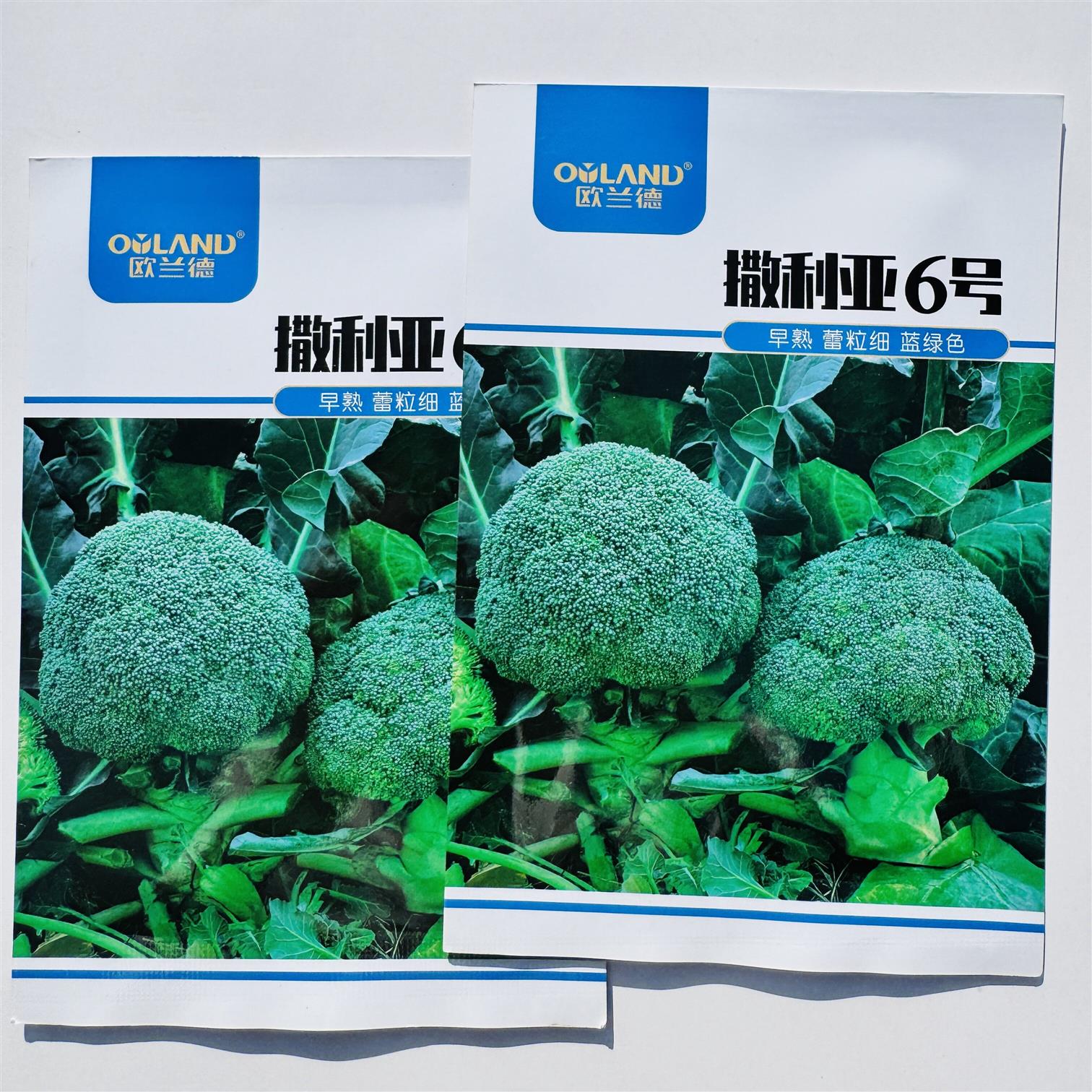 撒利亚6号西兰花种子欧兰德耐寒青梗小米粒绿花菜花春秋蔬菜种籽