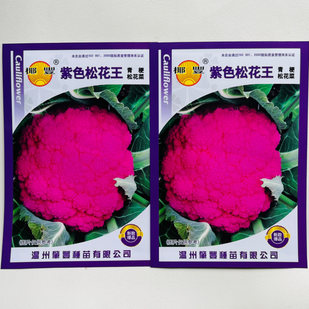 紫色松花王青梗松花菜种子花菜种籽花椰菜种孑春秋播蔬菜种籽菜孑