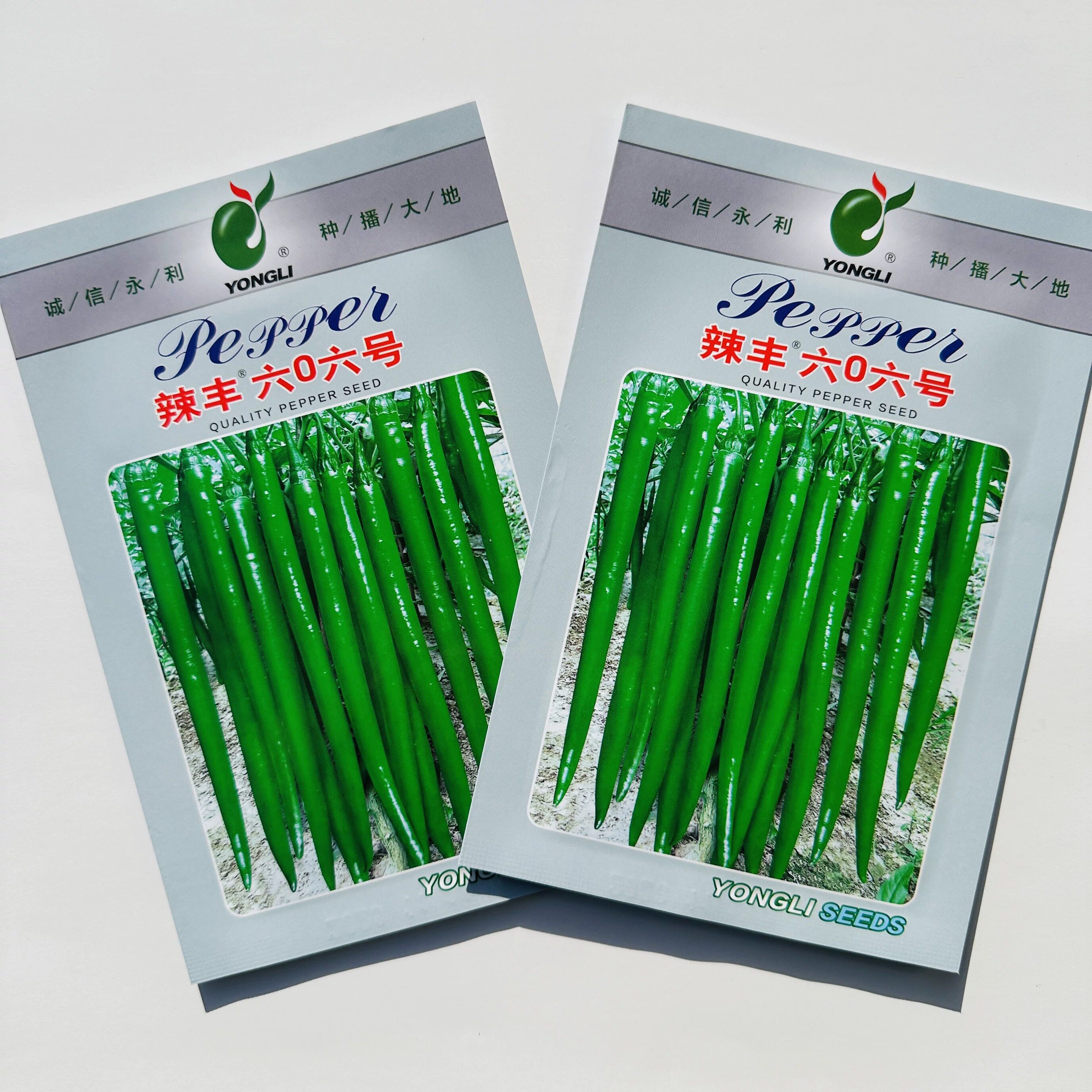 辣丰606号辣椒种子深绿色线椒种子高产早熟光亮顺直条椒种子基地