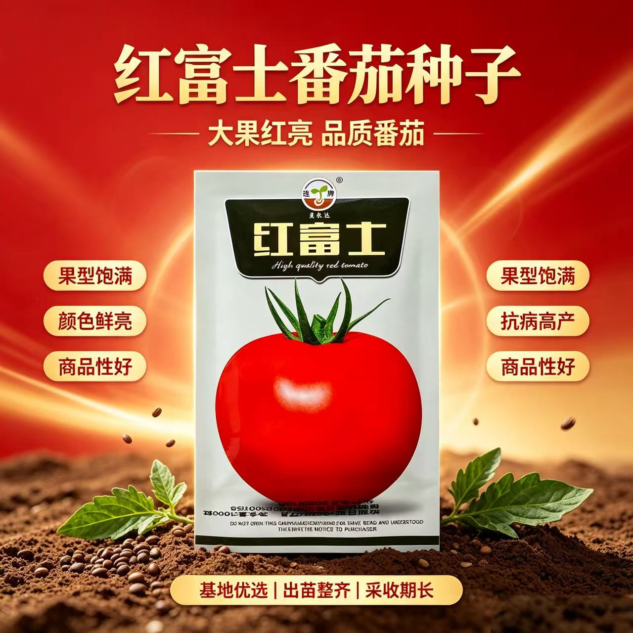 红富士番茄种子中早熟高产大果大红西红柿种籽春秋播蔬菜种子原装