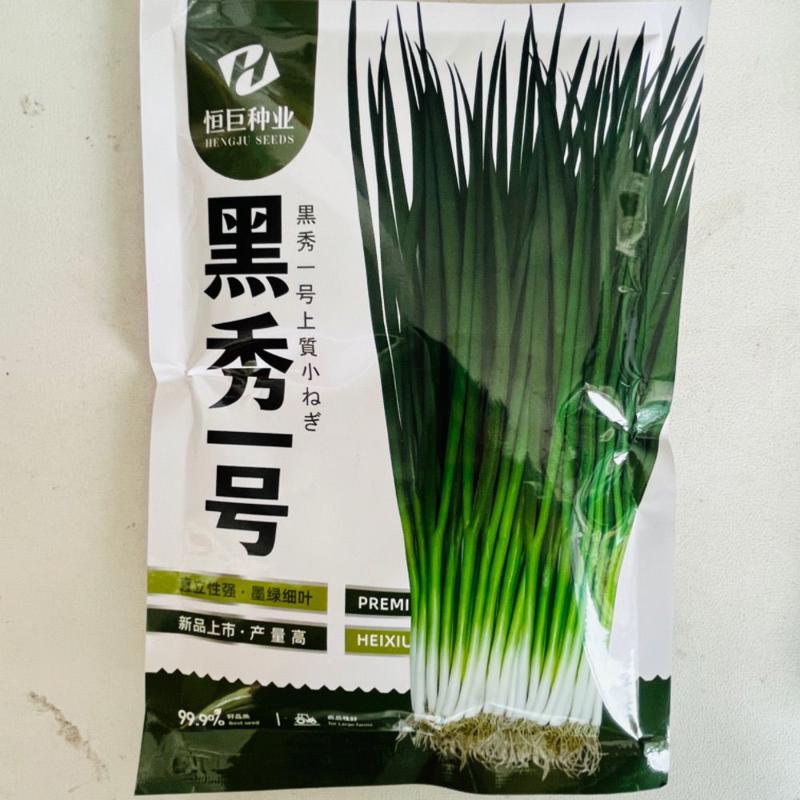 黑秀一号小钢葱种子四季香葱速生种子蔬菜种子小葱阳台盆栽