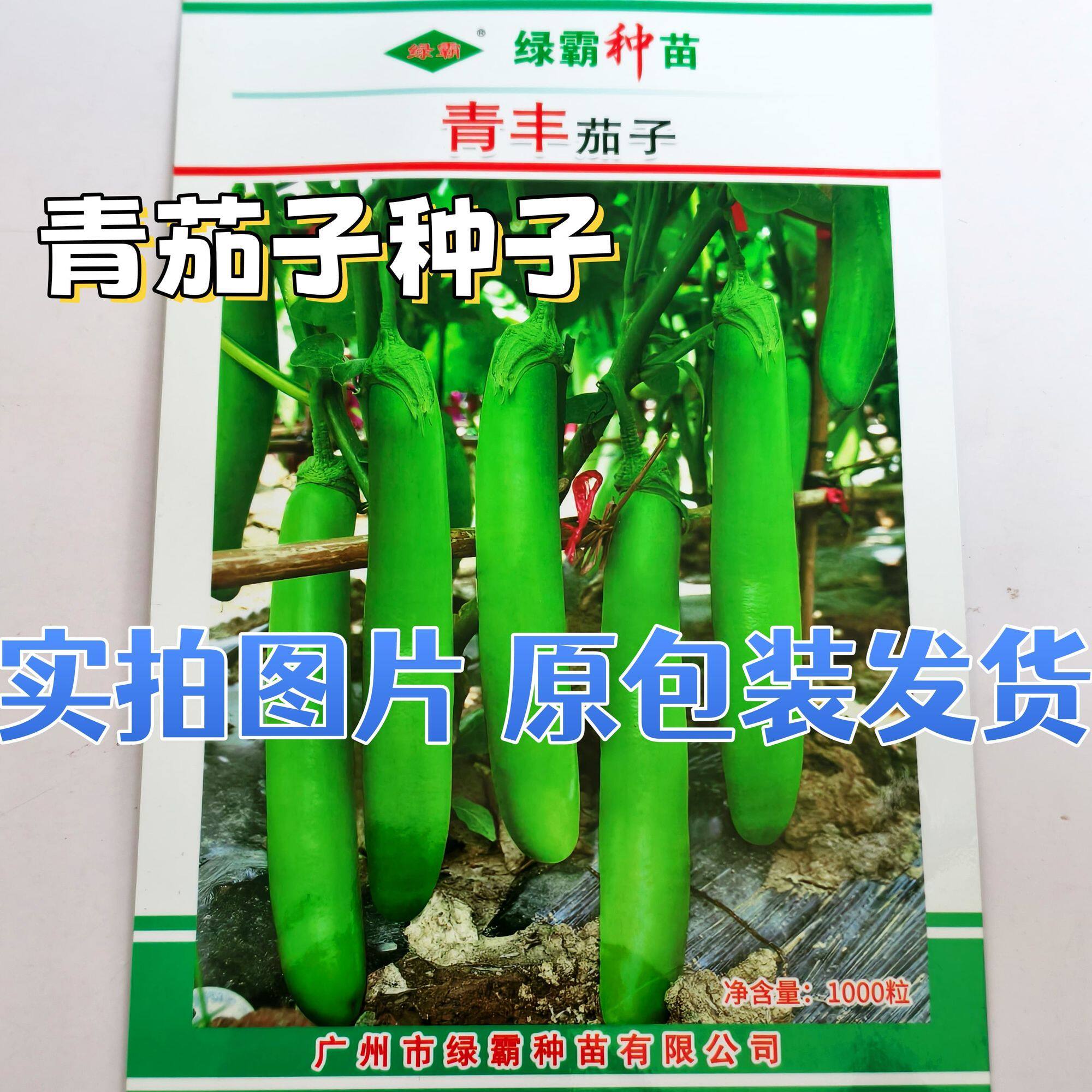 青丰茄子种子中早熟杂交一代油绿长绿茄种子青长茄种籽孑肉质细嫩