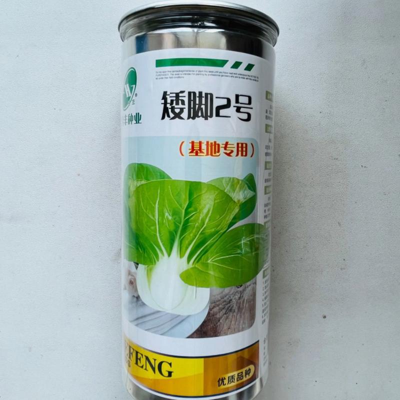 南京白菜矮脚黄菜菜种青菜种子高产四季小颗耐热耐寒抽苔白根种籽