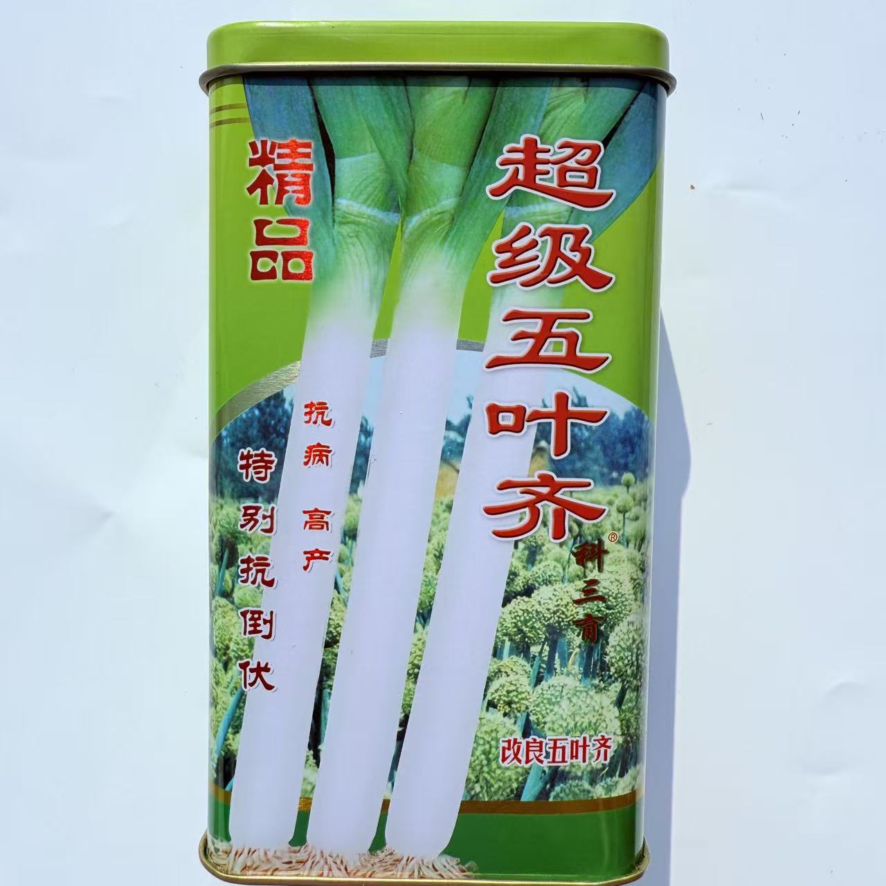 山东正宗大葱种子超级五叶齐大葱种子章丘葱种子四季高产大葱种籽
