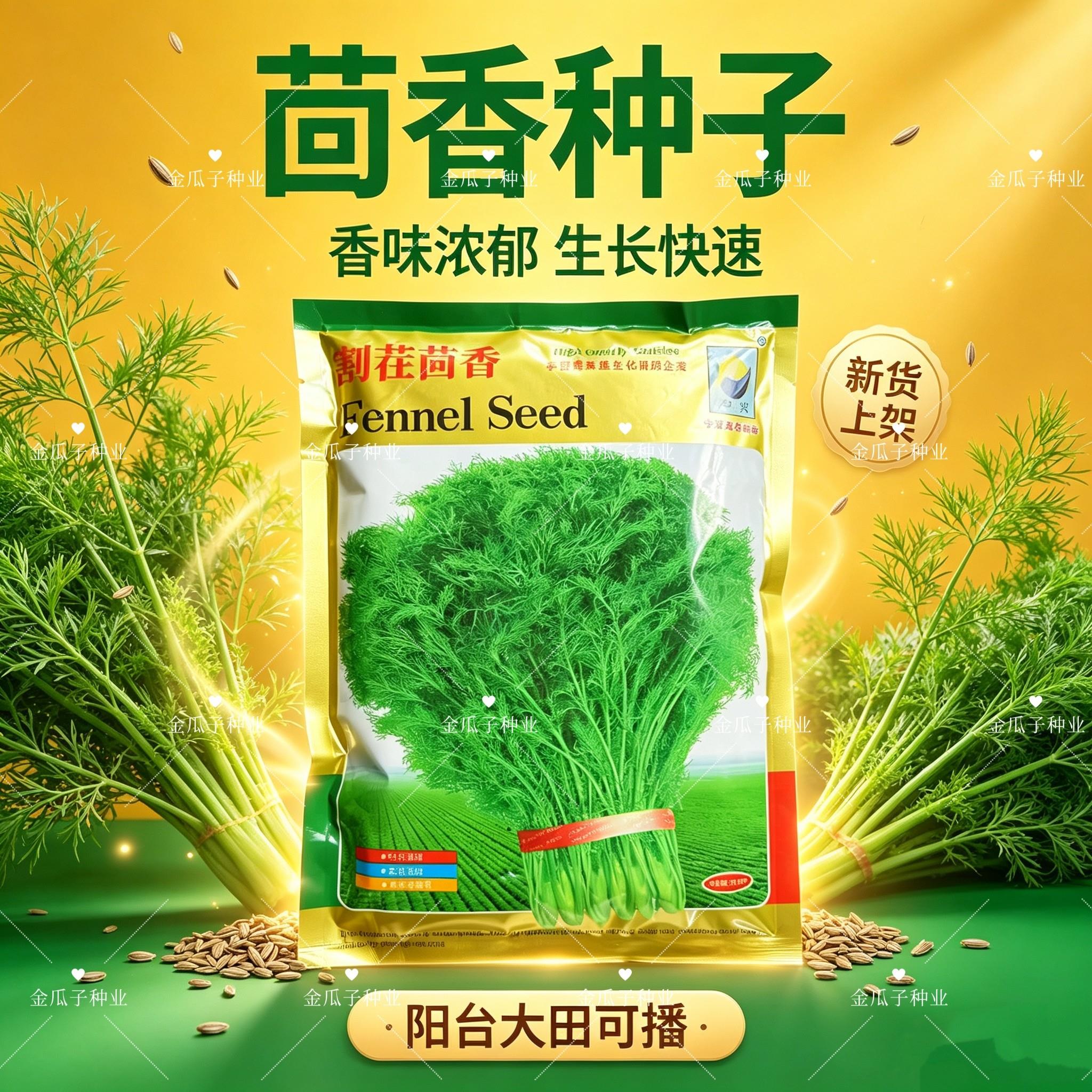 宁兴割茬茴香种子耐寒性蔬菜叶片深绿扁杆浓香型茴香种子春秋种植