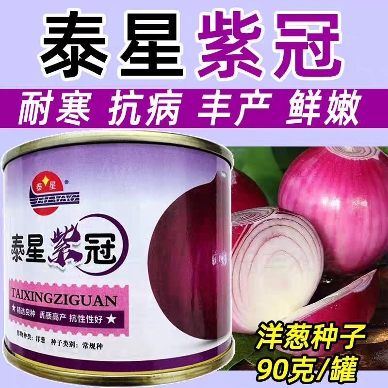泰星紫冠洋葱种子圆头紫红皮高产抗逆纤维少脆甜浓郁优质蔬菜种籽