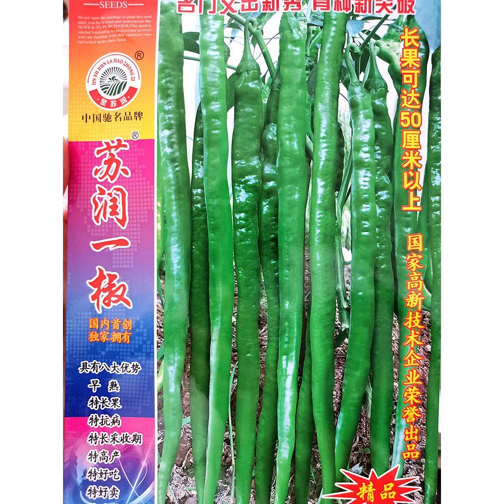 辣椒种子大全长线椒陇椒螺丝椒薄皮椒种籽春秋露地大鹏种播种