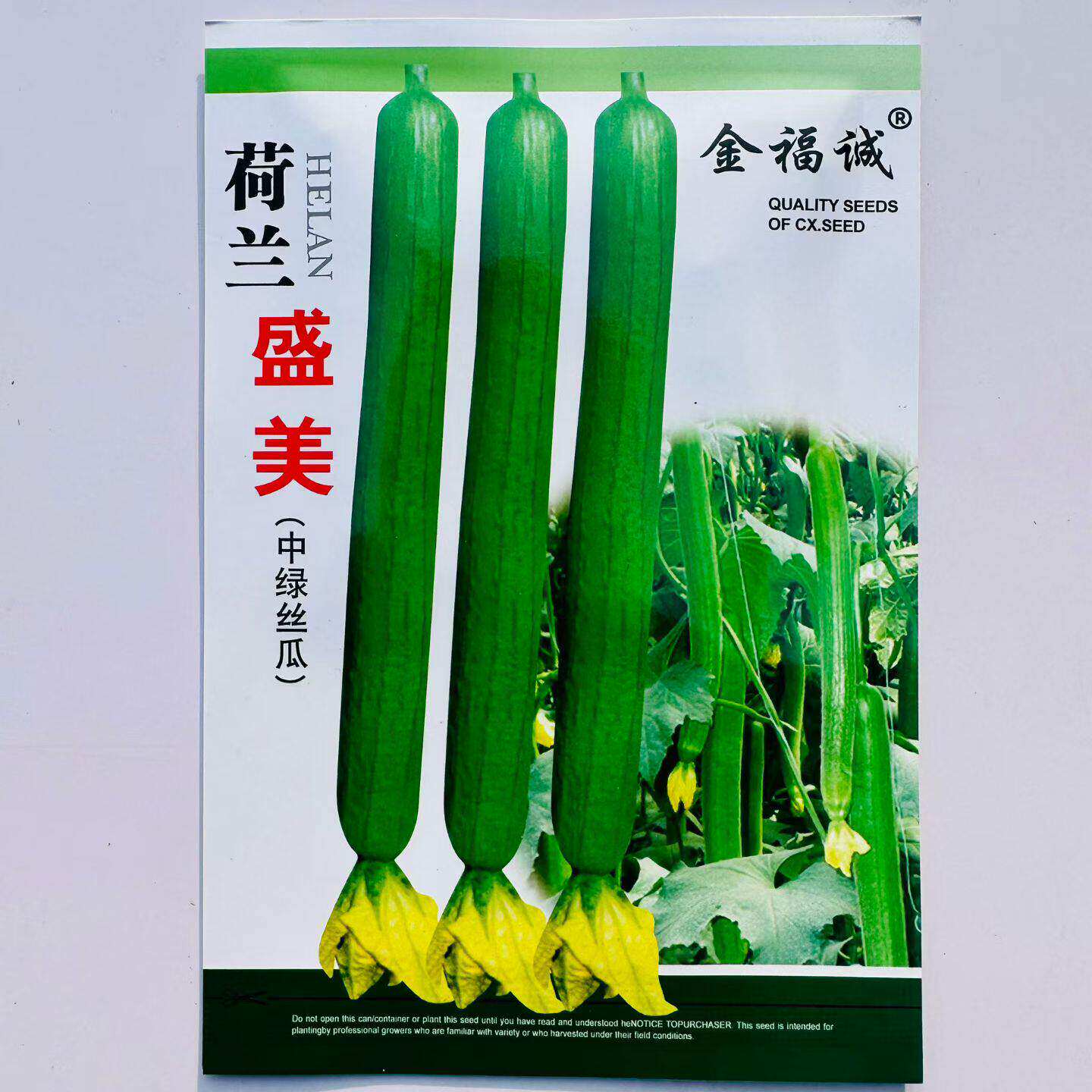 荷兰盛美丝瓜种子中绿油绿型长香丝瓜种籽高产抗寒长棒丝瓜春秋播
