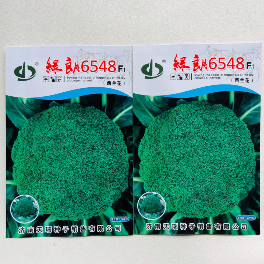 绿朗6548西兰花种子秋播中熟青花菜种籽耐寒丰产杂交种花椰菜种孑