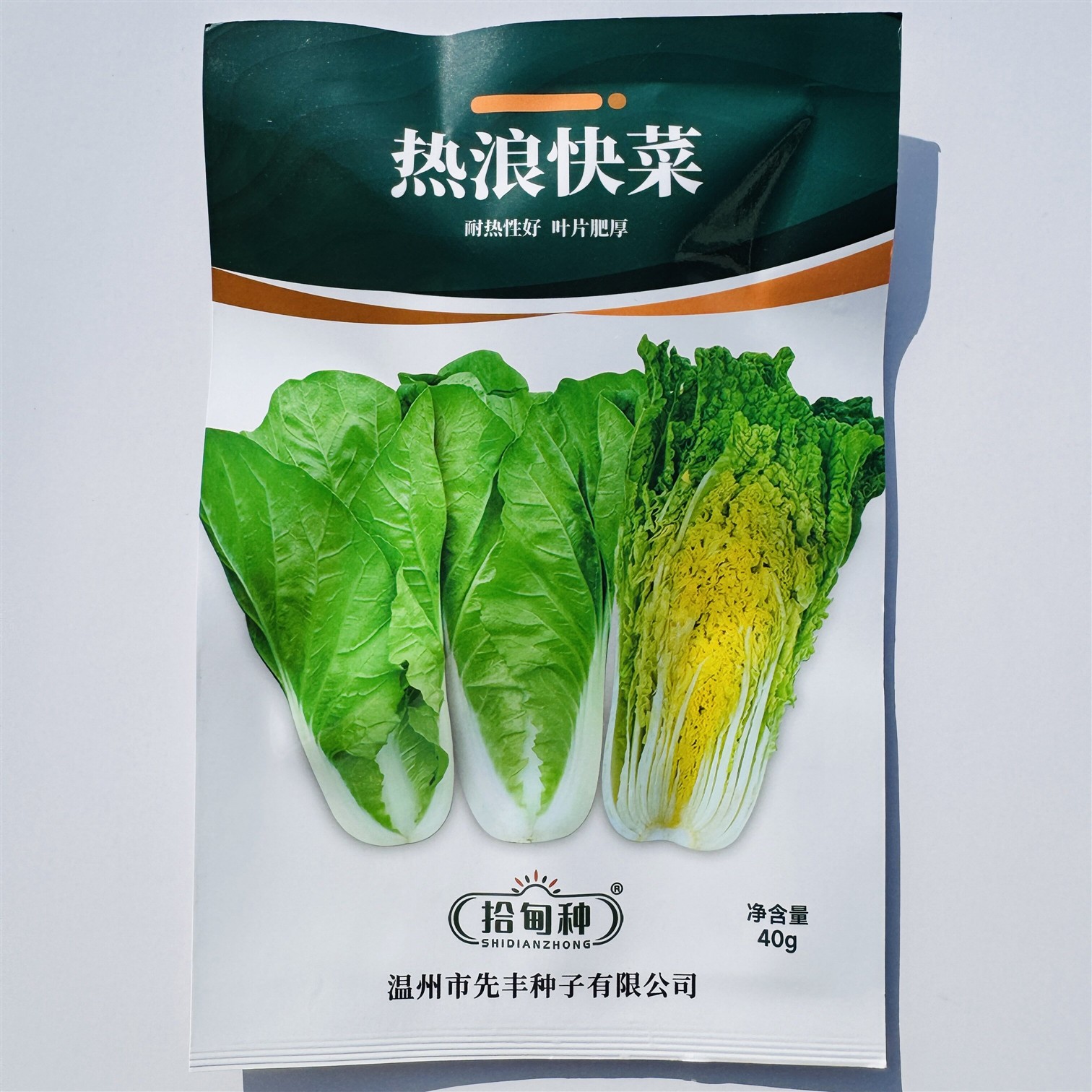 拾甸种热浪快菜种子叶肉厚无毛刺质地柔软叶帮白生长快春夏秋种植