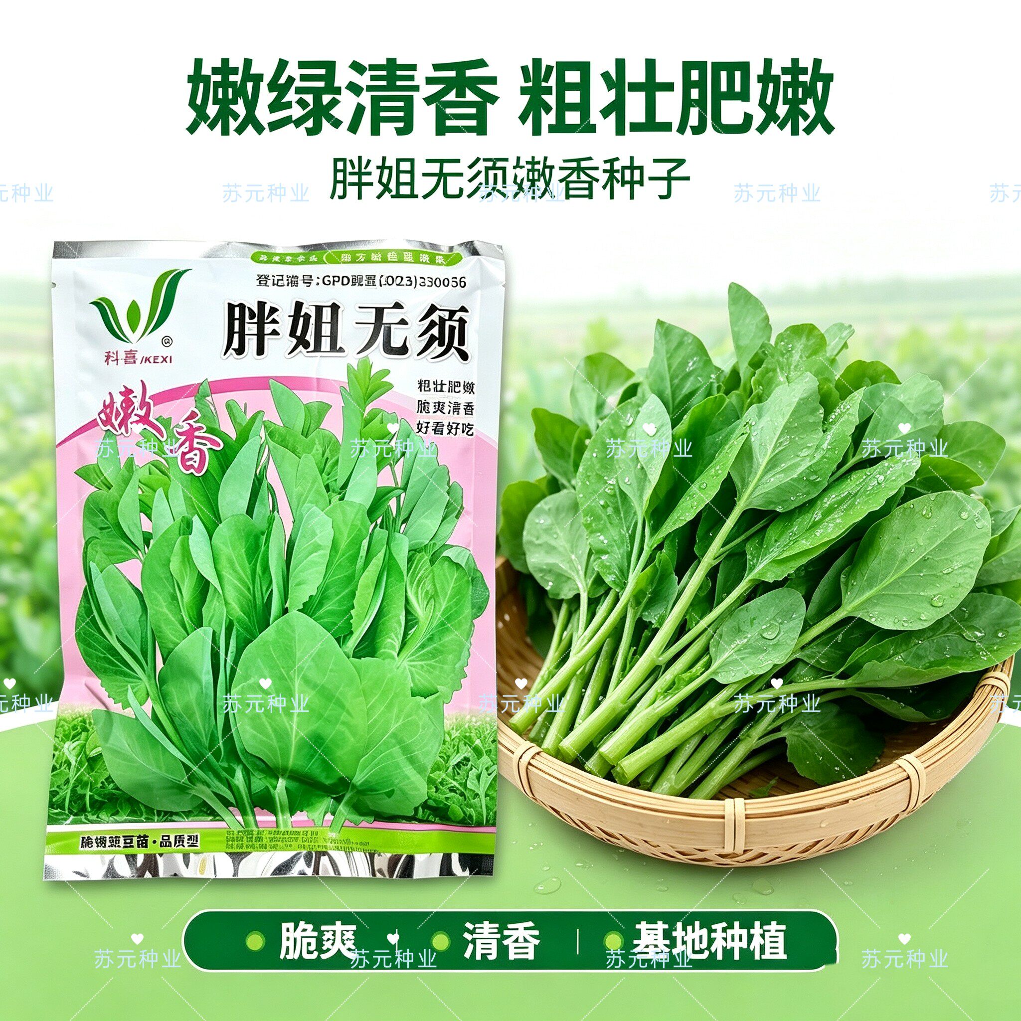 胖妞无须豌豆苗种子采收期长鲜嫩无须芽苗菜豌豆尖豌豆苗无须豆芽