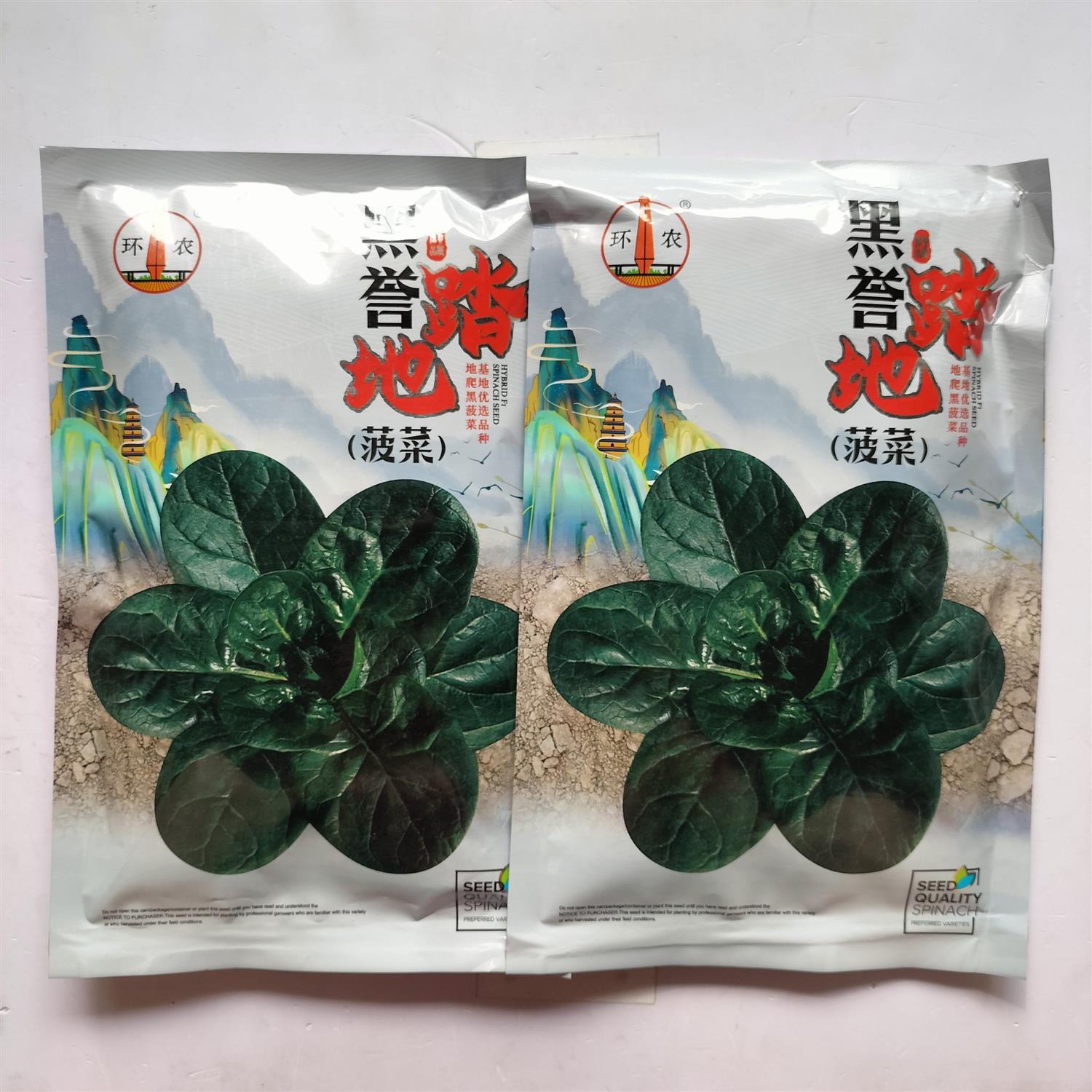 黑誉地踏菠菜种子高产耐抽苔圆叶墨绿色匍匐生长叶柄中等偏短菠菜
