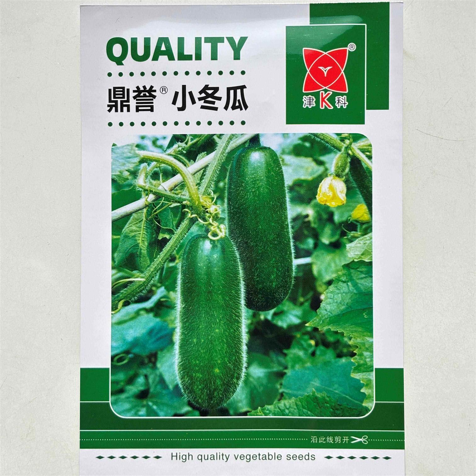 鼎誉小冬瓜种子早熟皮薄毛节小冬瓜种籽肉质紧肉质细腻甜脆清香