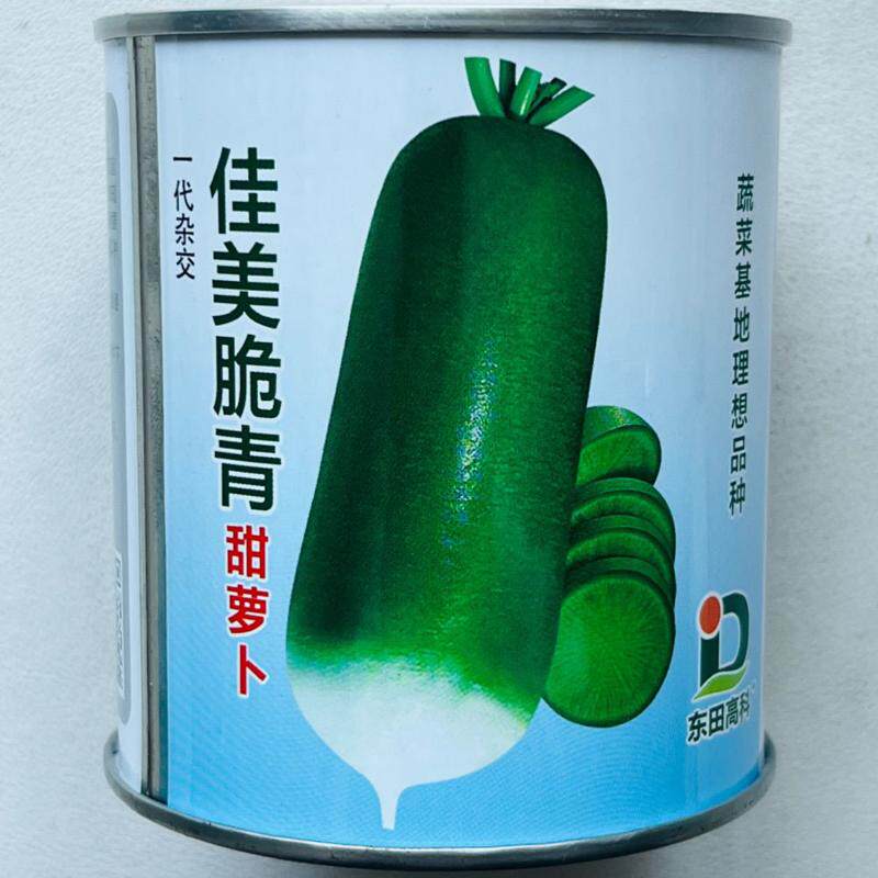 佳美脆青水果萝卜种子博萝蜜清脆爽口甜脆秋季耐寒