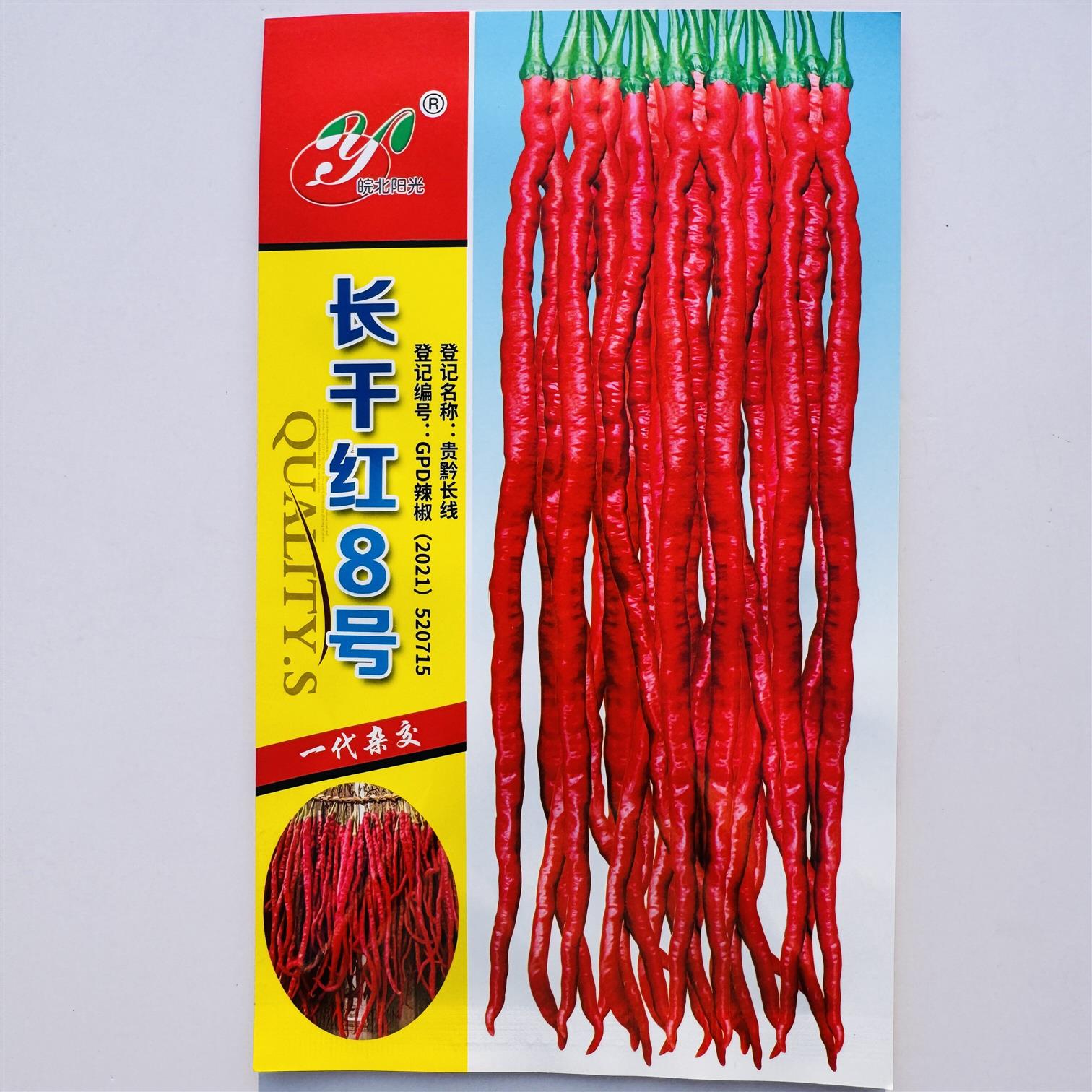 长干红8号线椒种子辣椒辣味香浓可鲜食干制做酱加工春秋软皮线椒